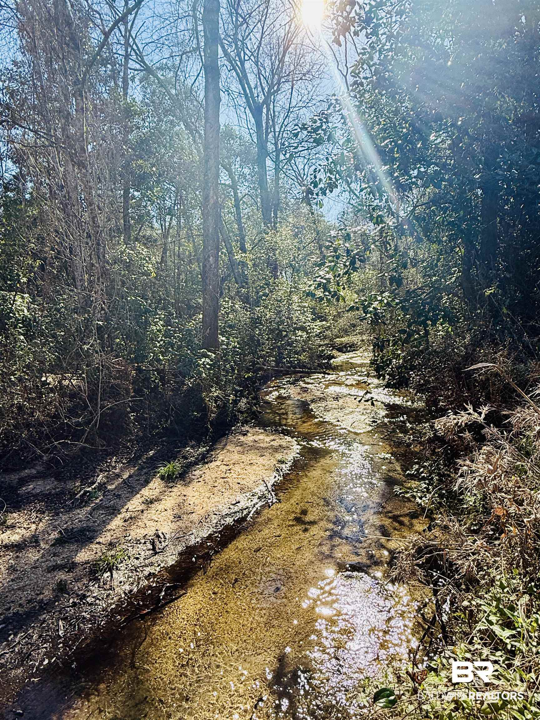 01 Cowpen Creek Road