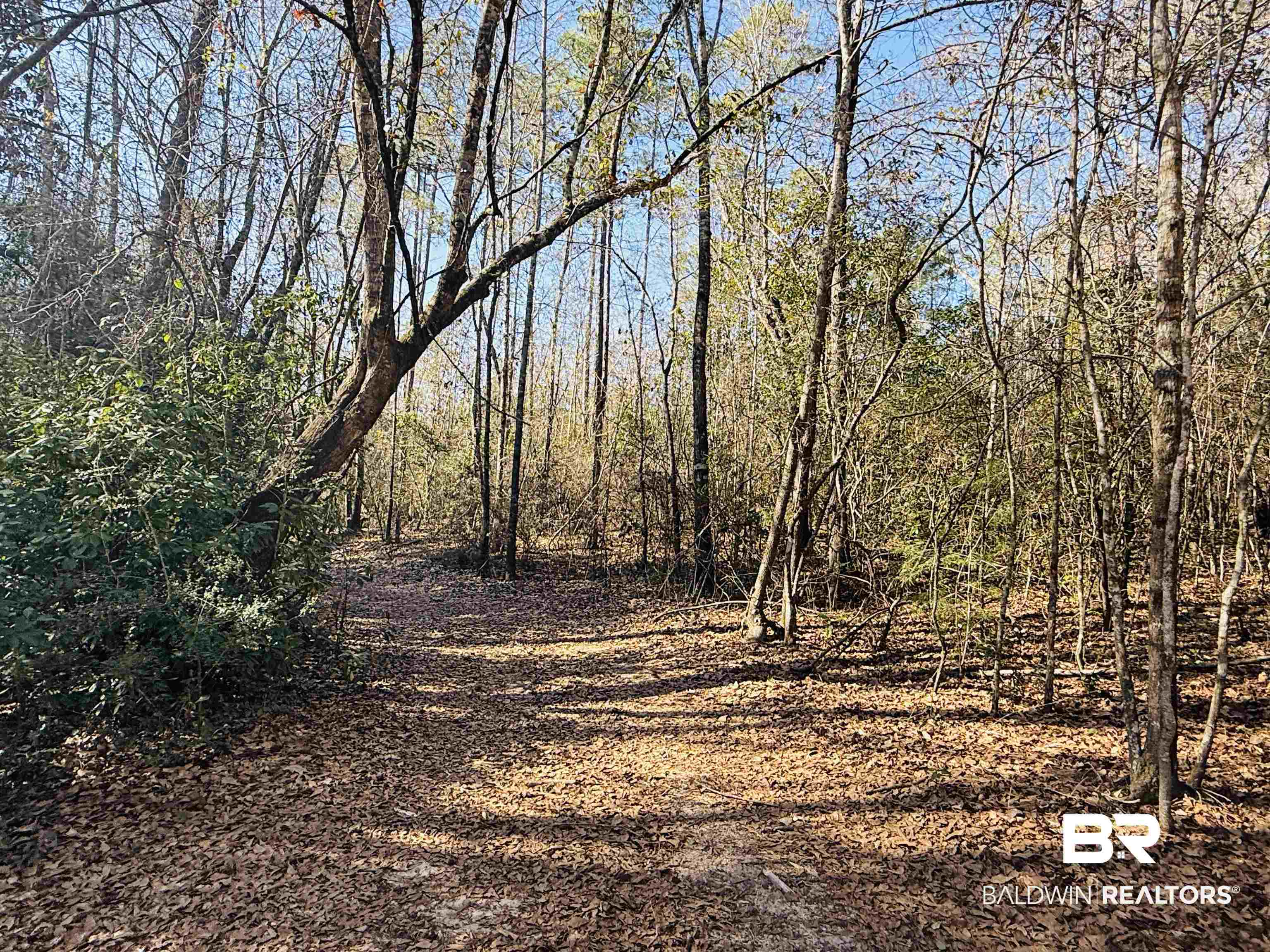 01 Cowpen Creek Road
