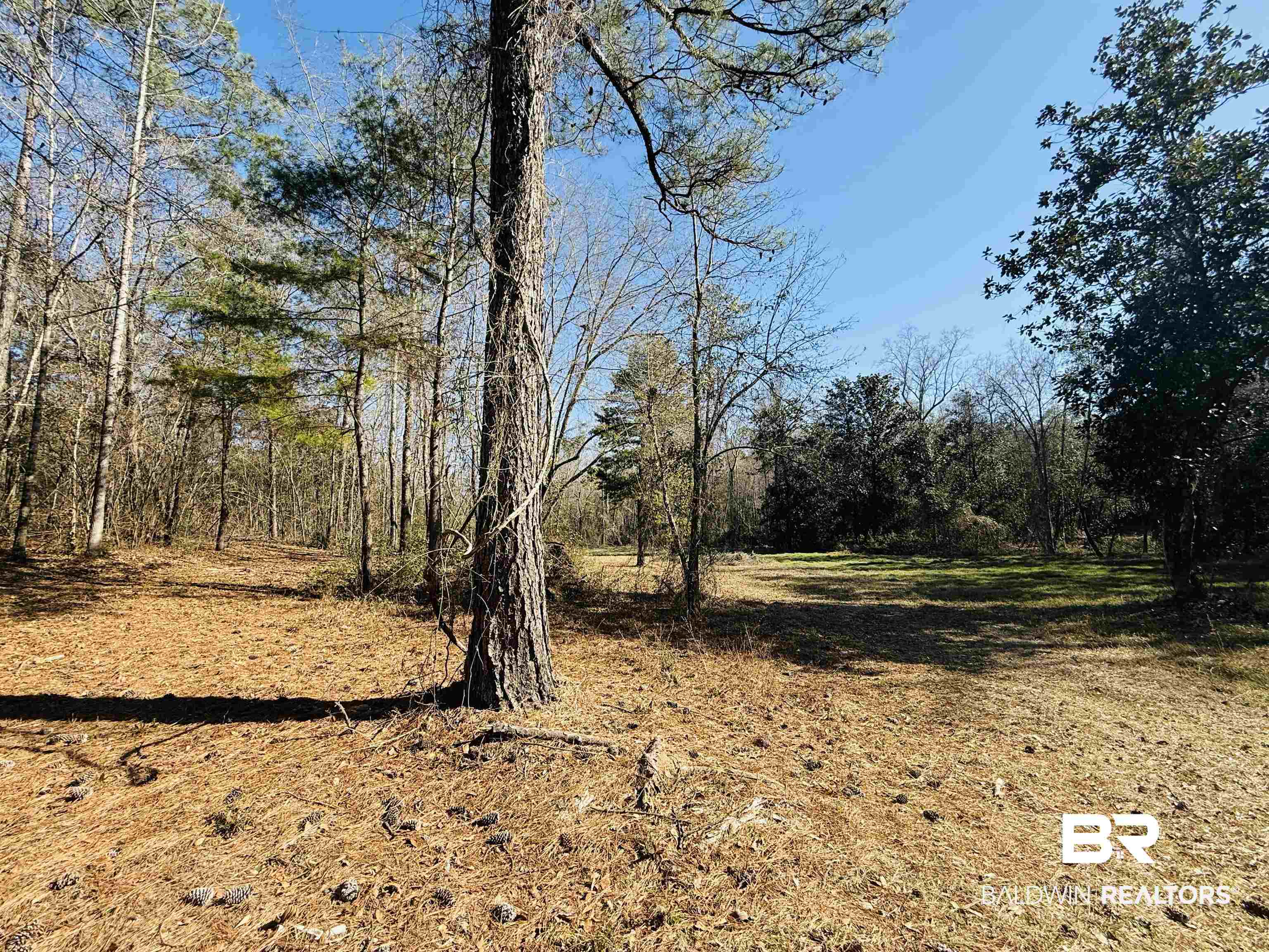 01 Cowpen Creek Road