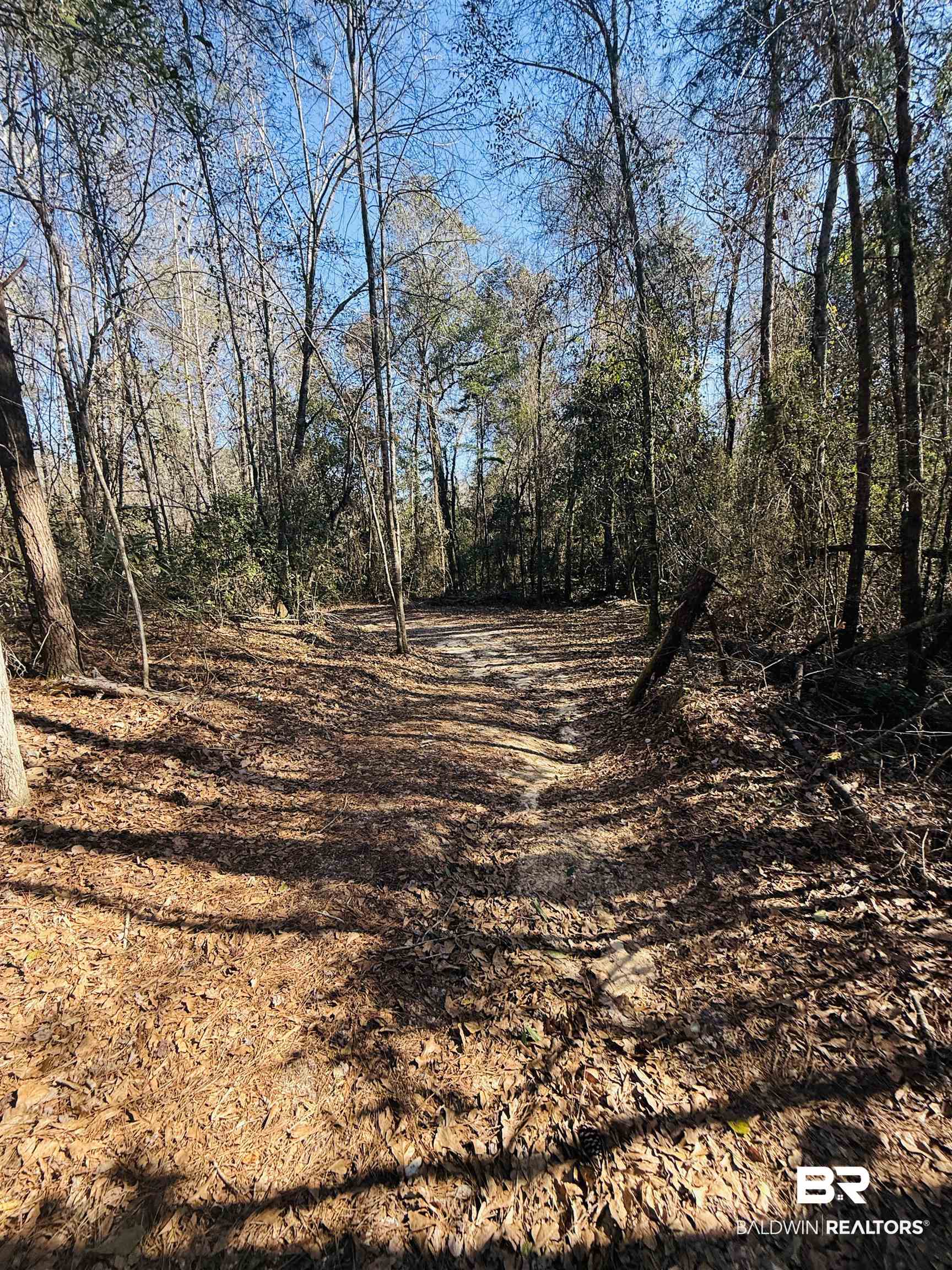 01 Cowpen Creek Road