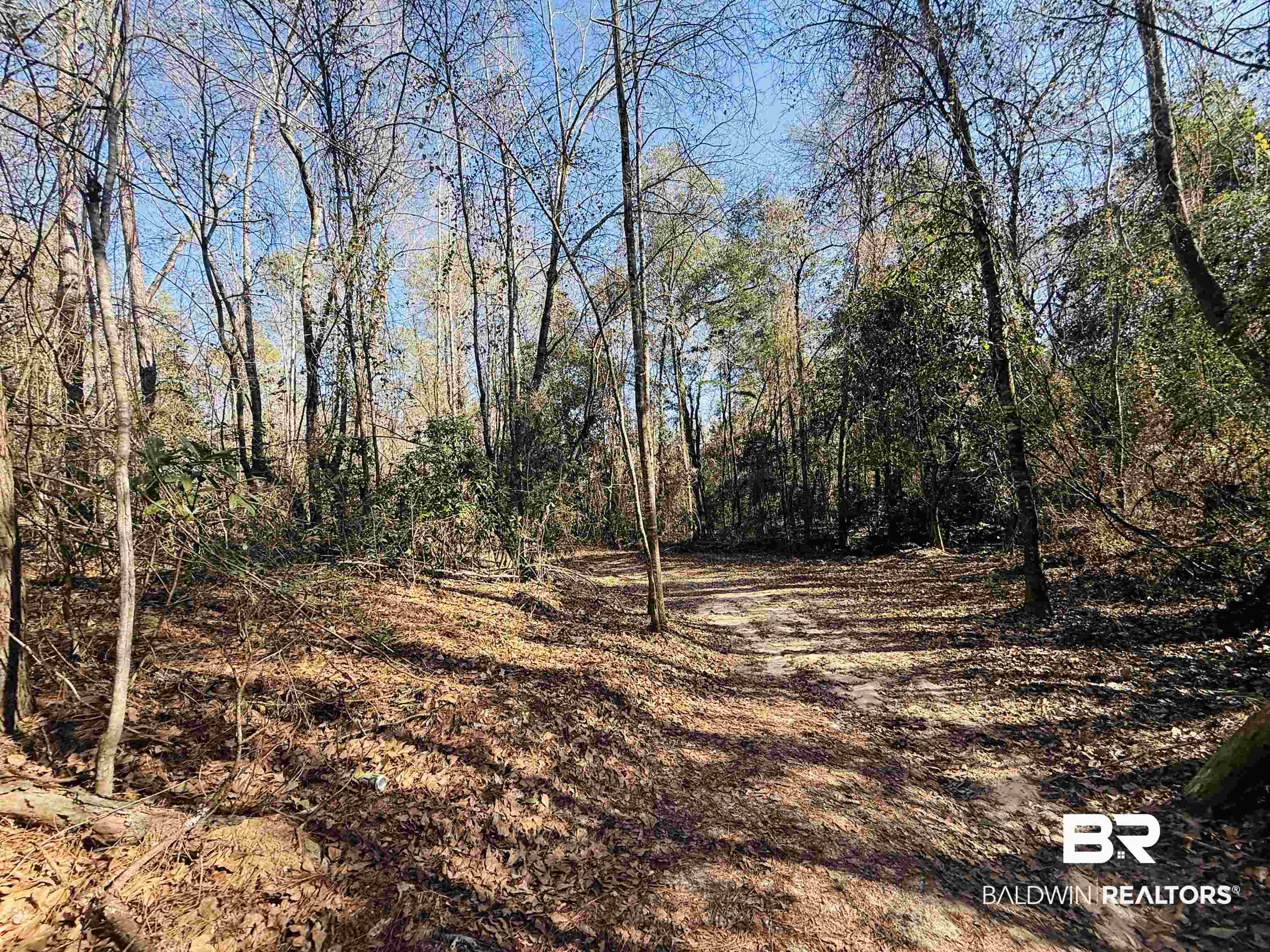 01 Cowpen Creek Road