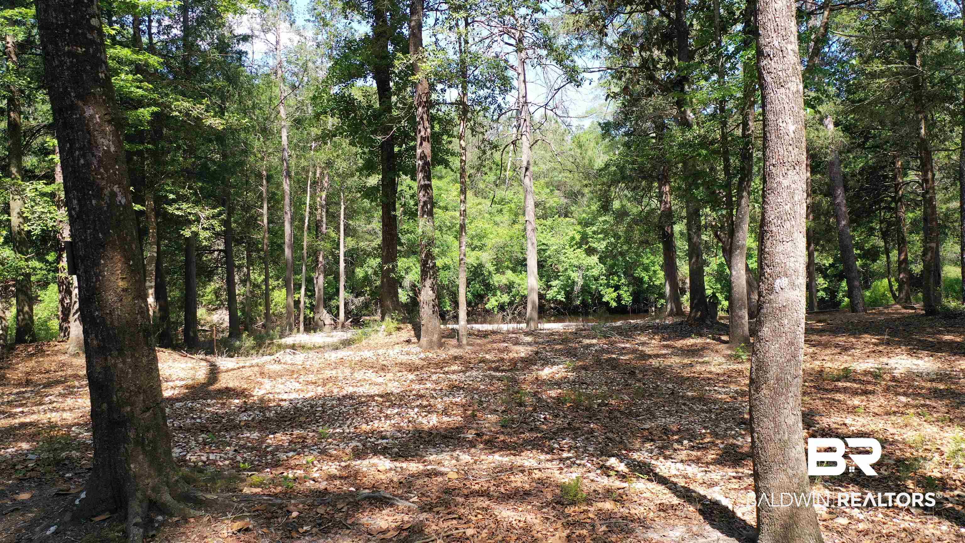 Lot 22 Creek Adventures Lane