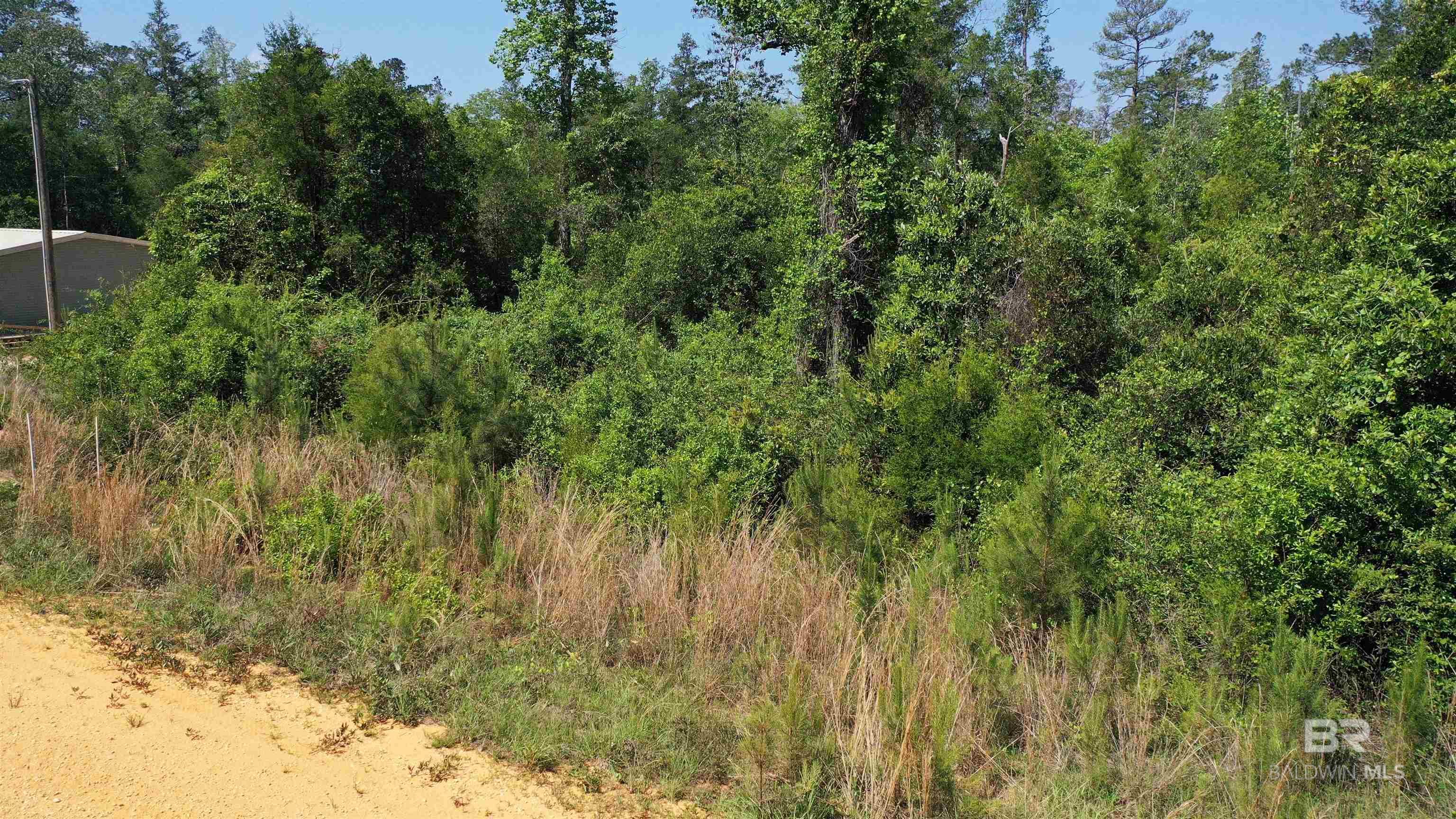 Lot 22 Creek Adventures Lane