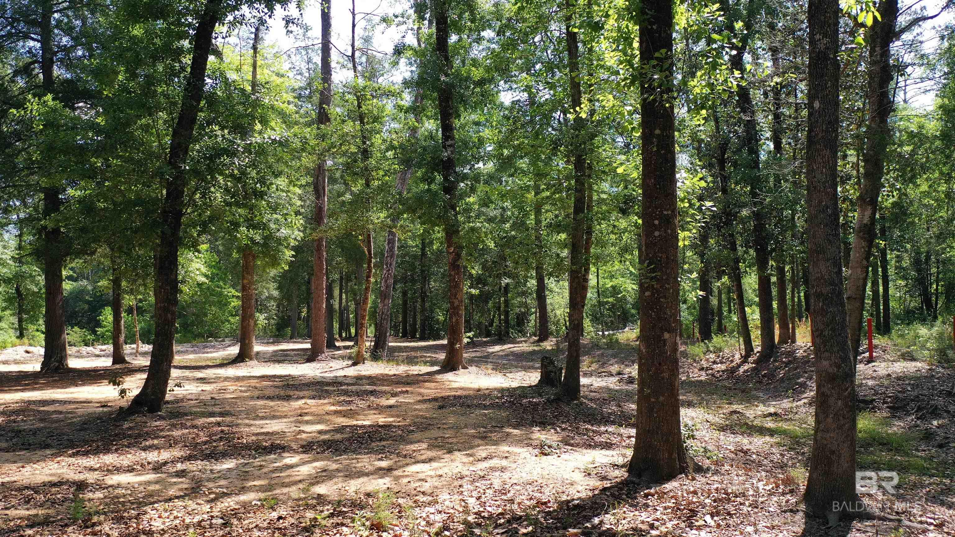 Lot 22 Creek Adventures Lane