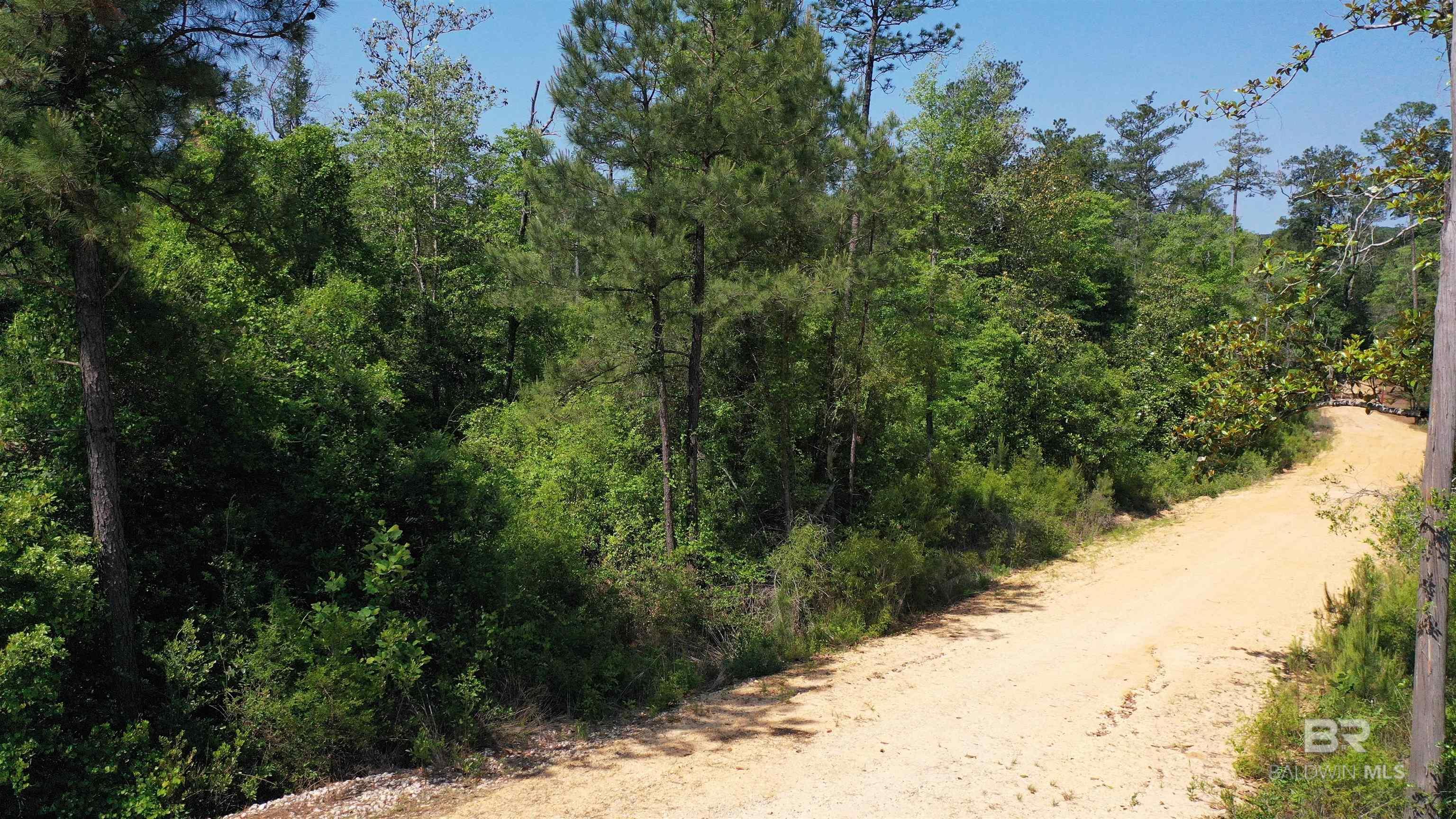 Lot 22 Creek Adventures Lane