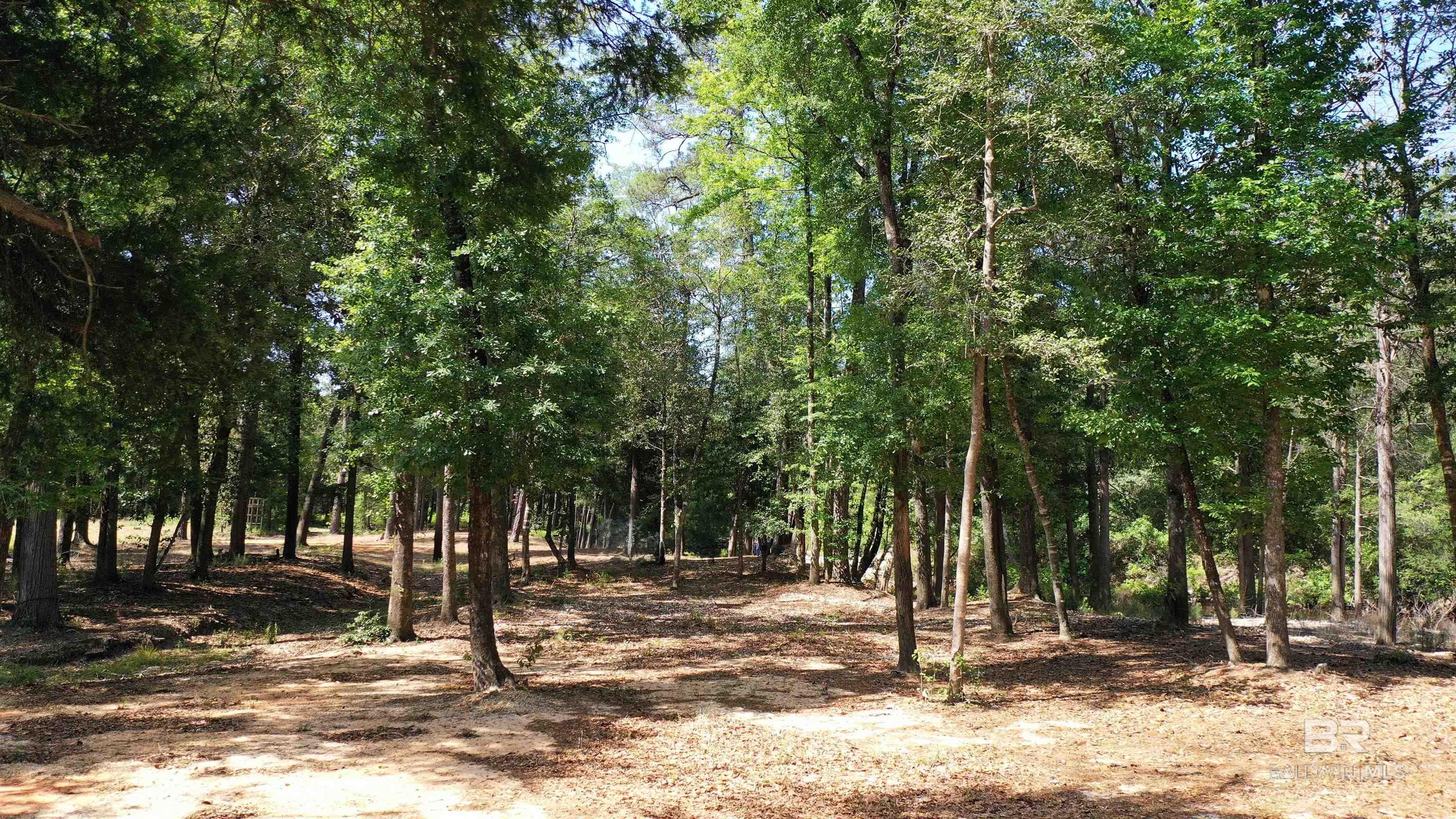 Lot 22 Creek Adventures Lane