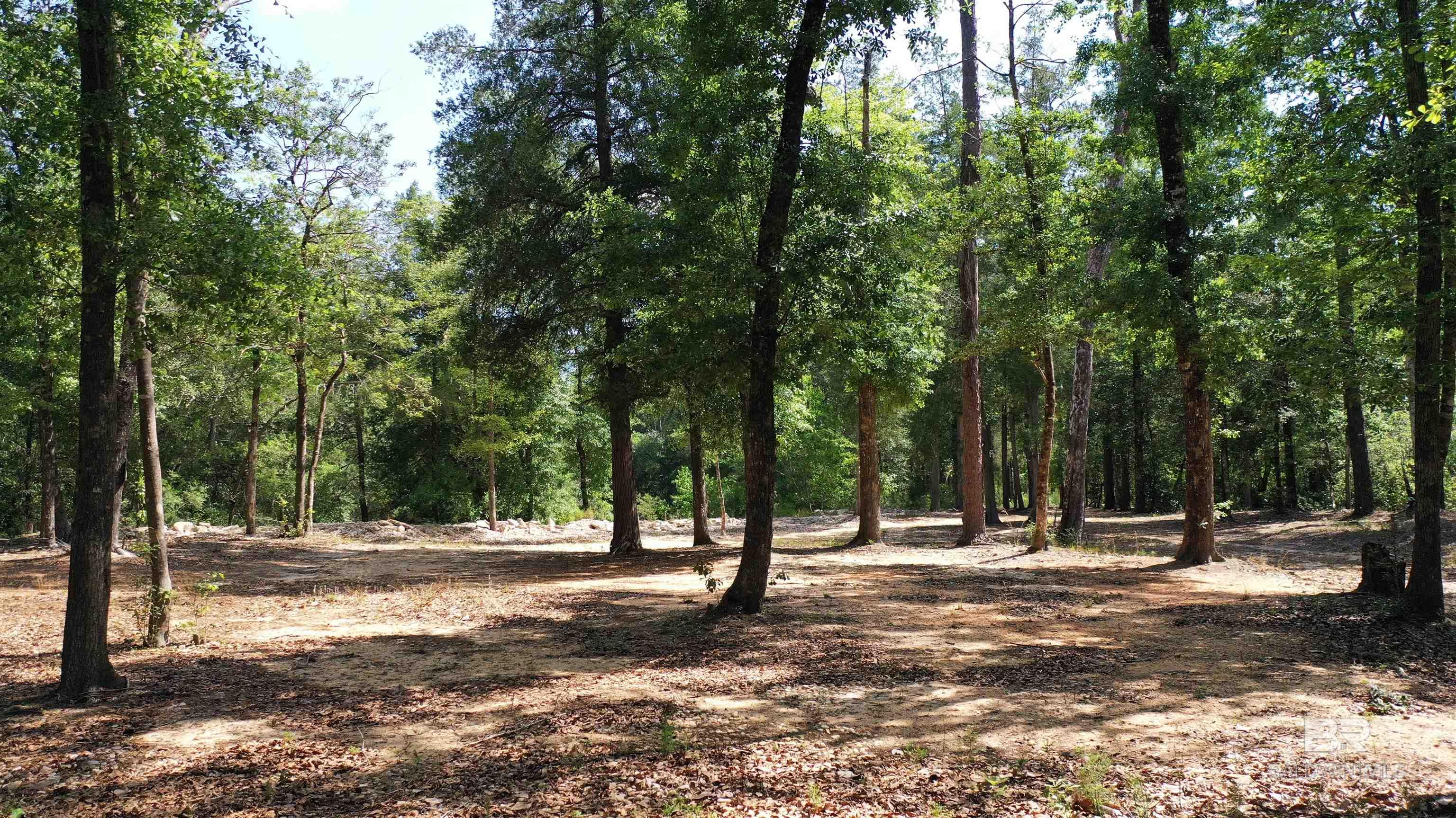 Lot 22 Creek Adventures Lane