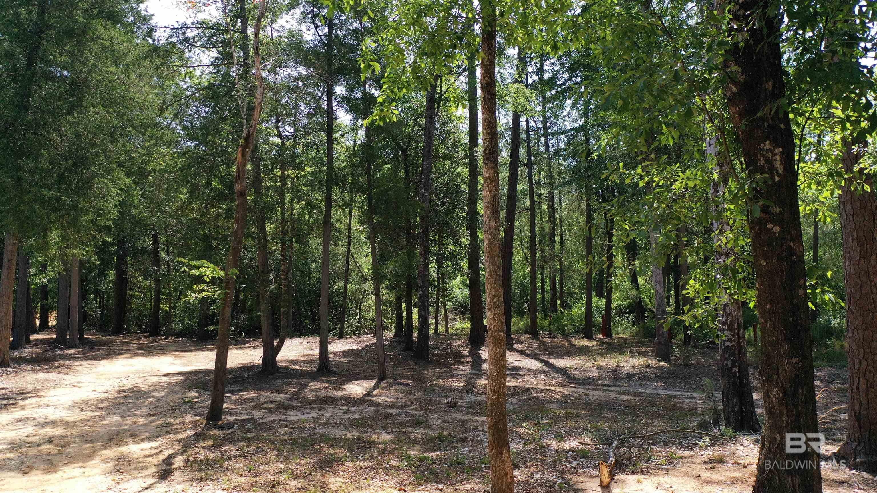 Lot 22 Creek Adventures Lane