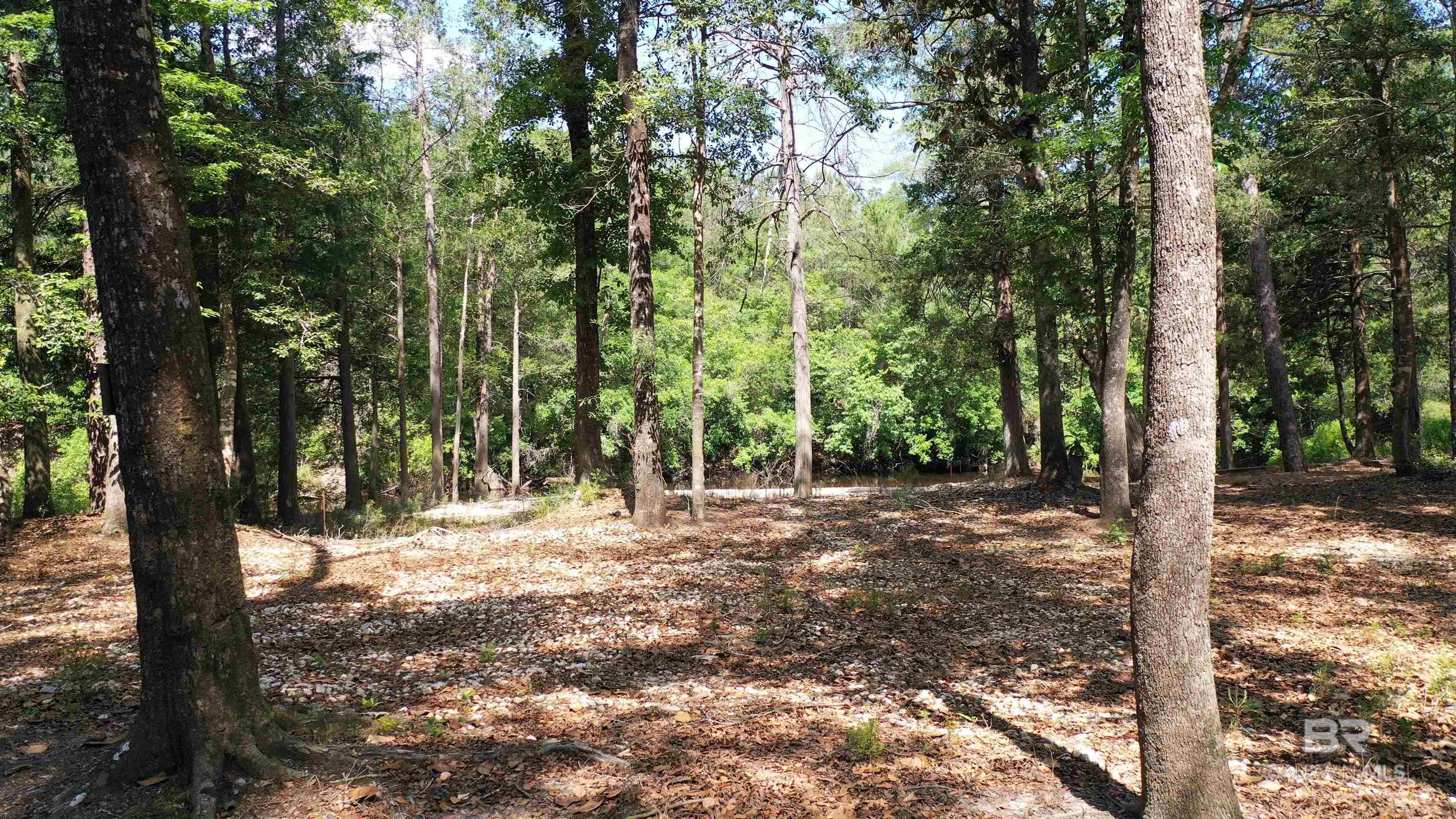 Lot 22 Creek Adventures Lane