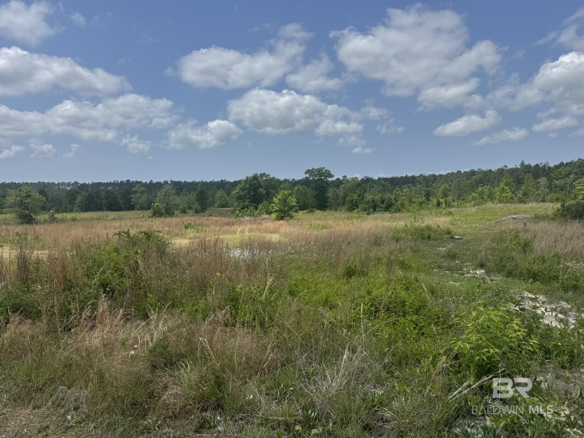 39207 St Hwy 59