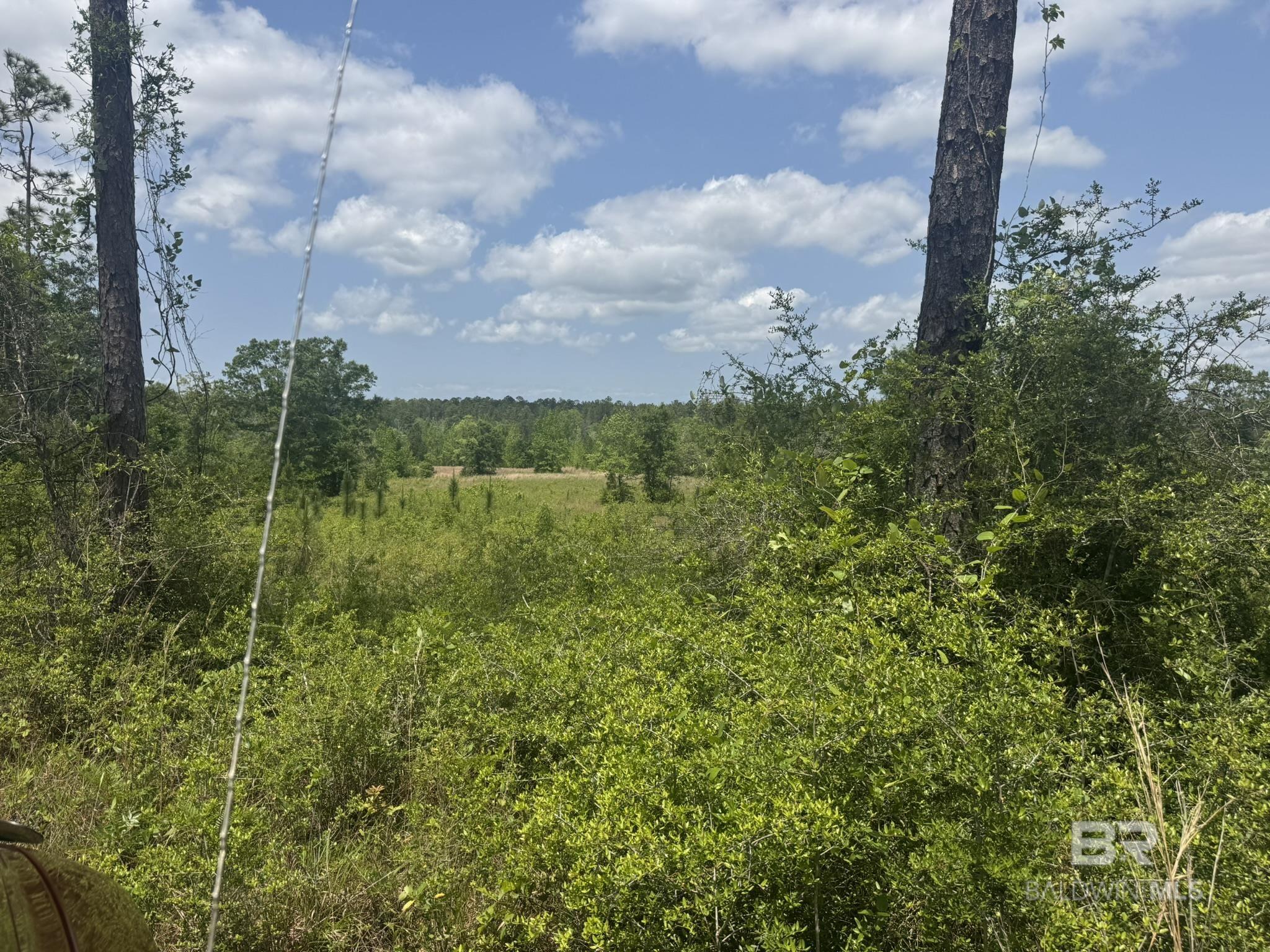 39207 St Hwy 59