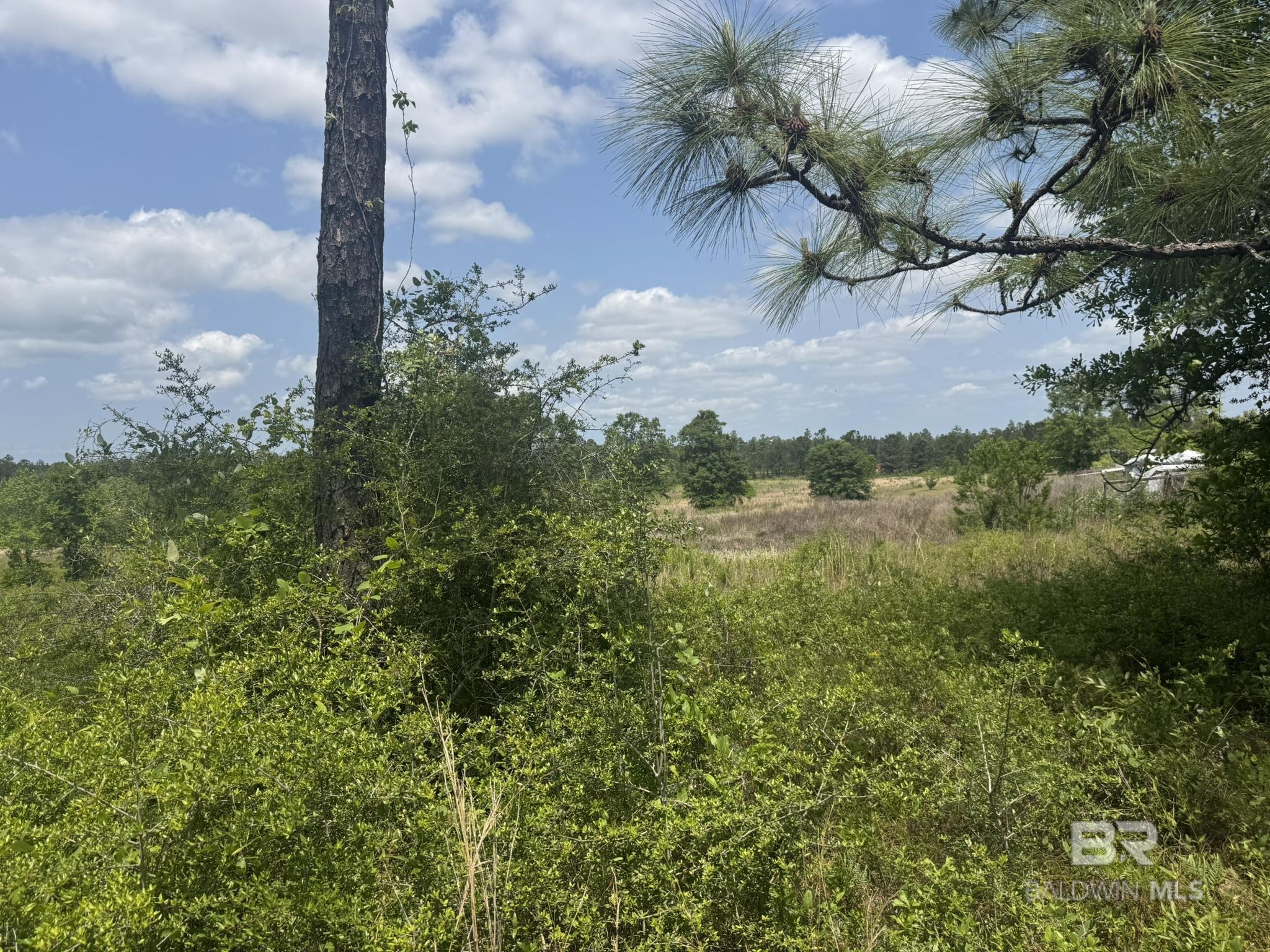 39207 St Hwy 59