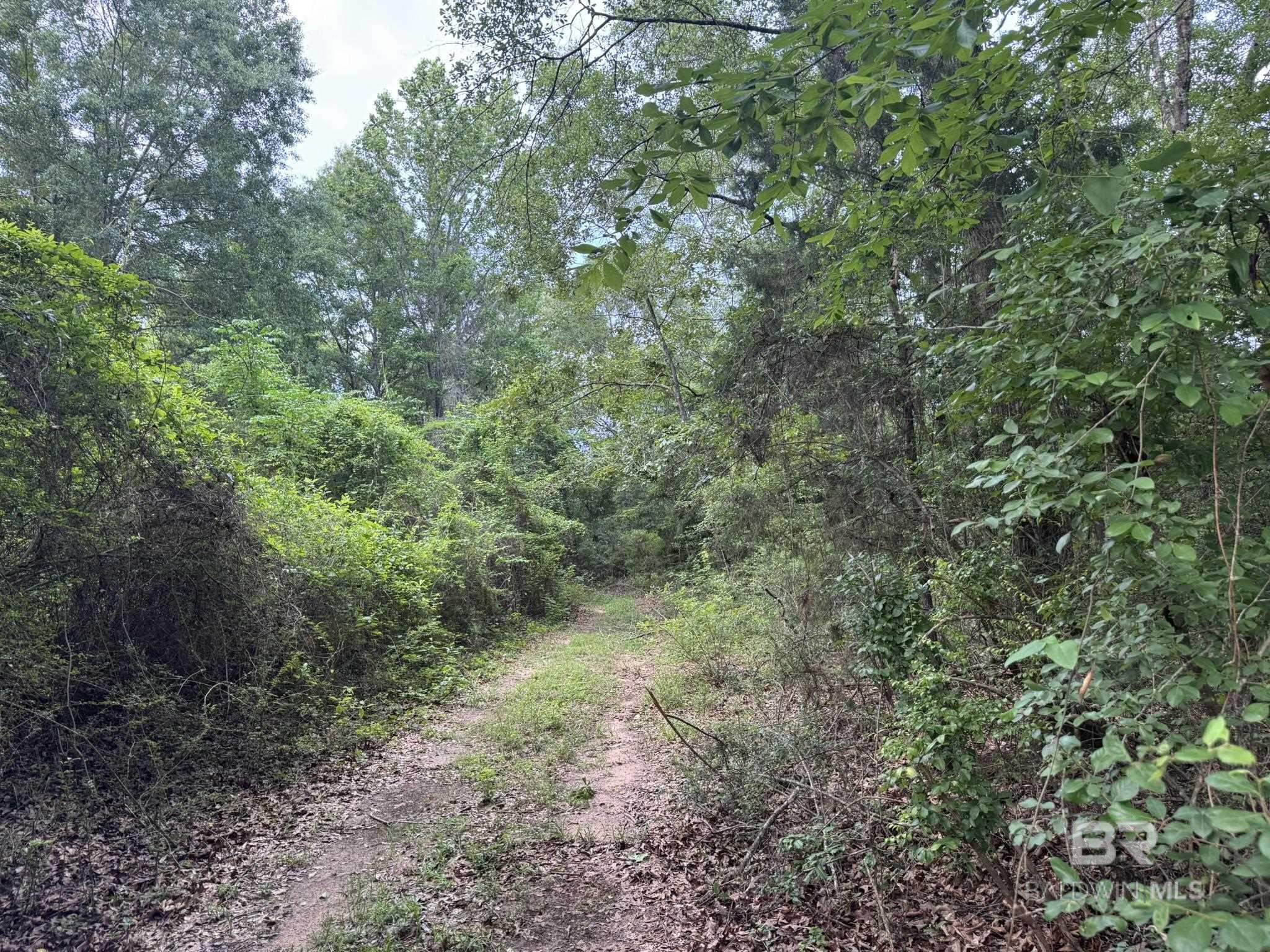 0 Old Stage Road