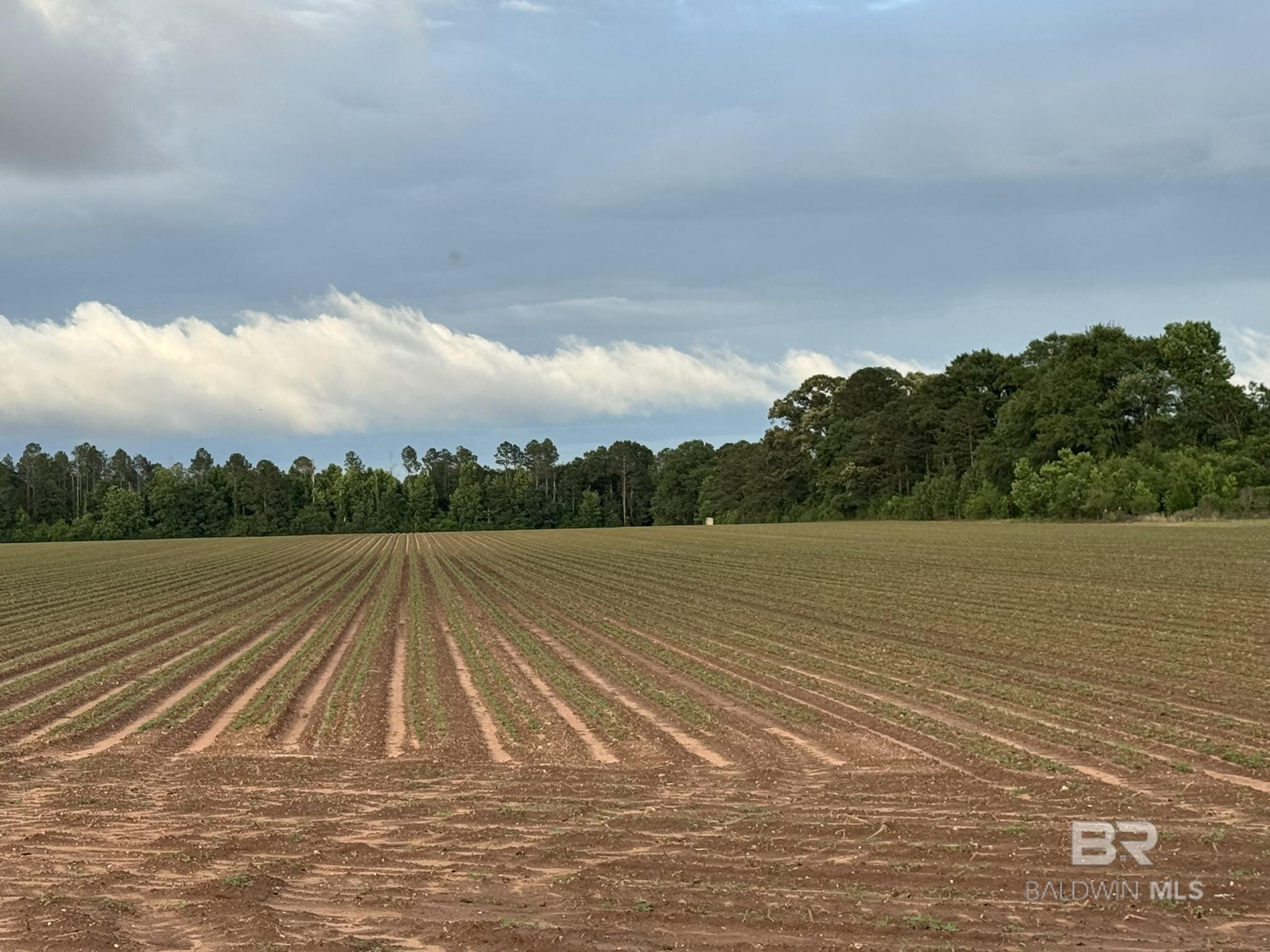 0 Old Stage Road