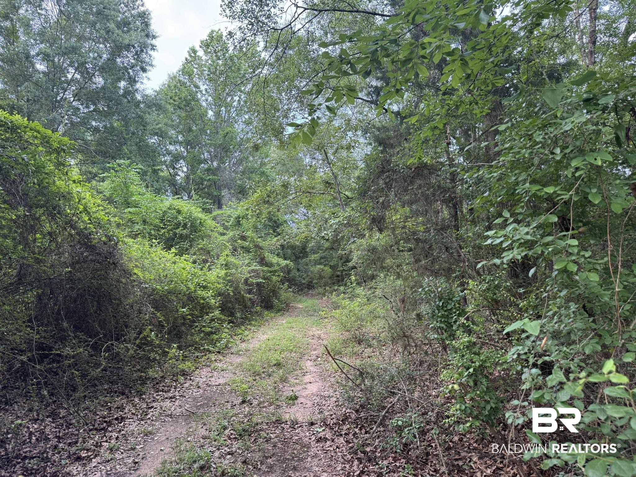 0 Old Stage Road