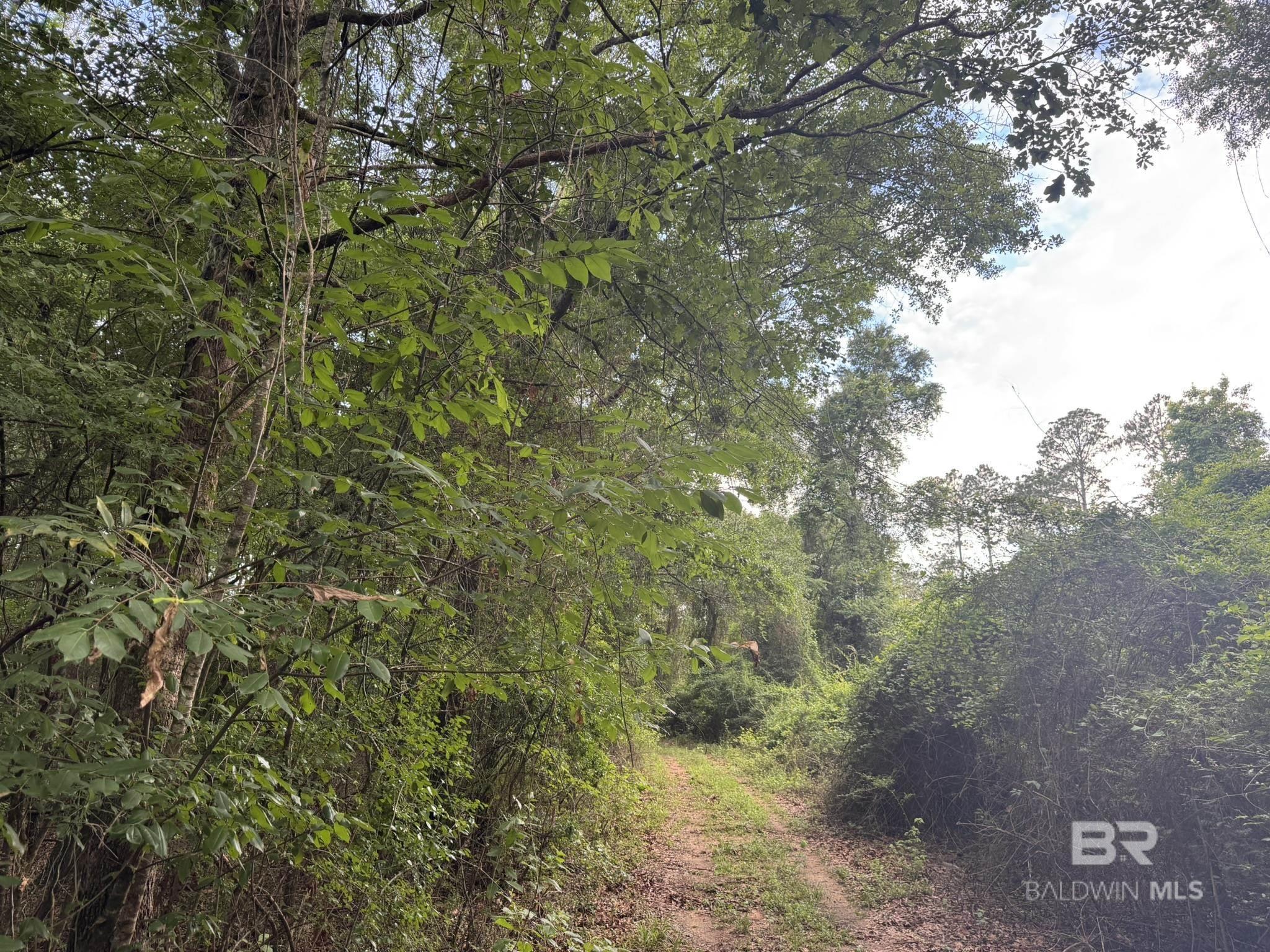 0 Old Stage Road