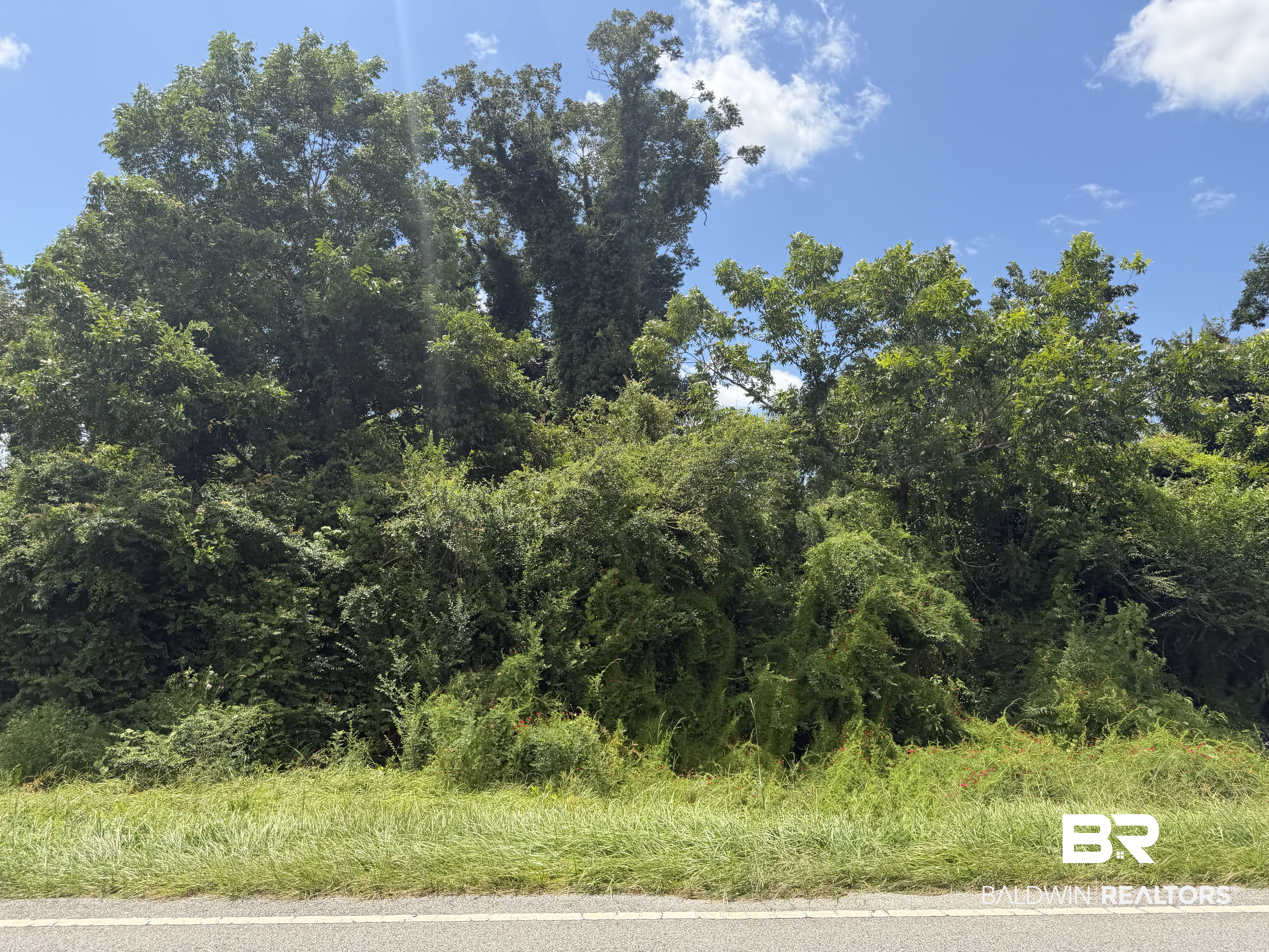 Lot 1 Highway 99 A