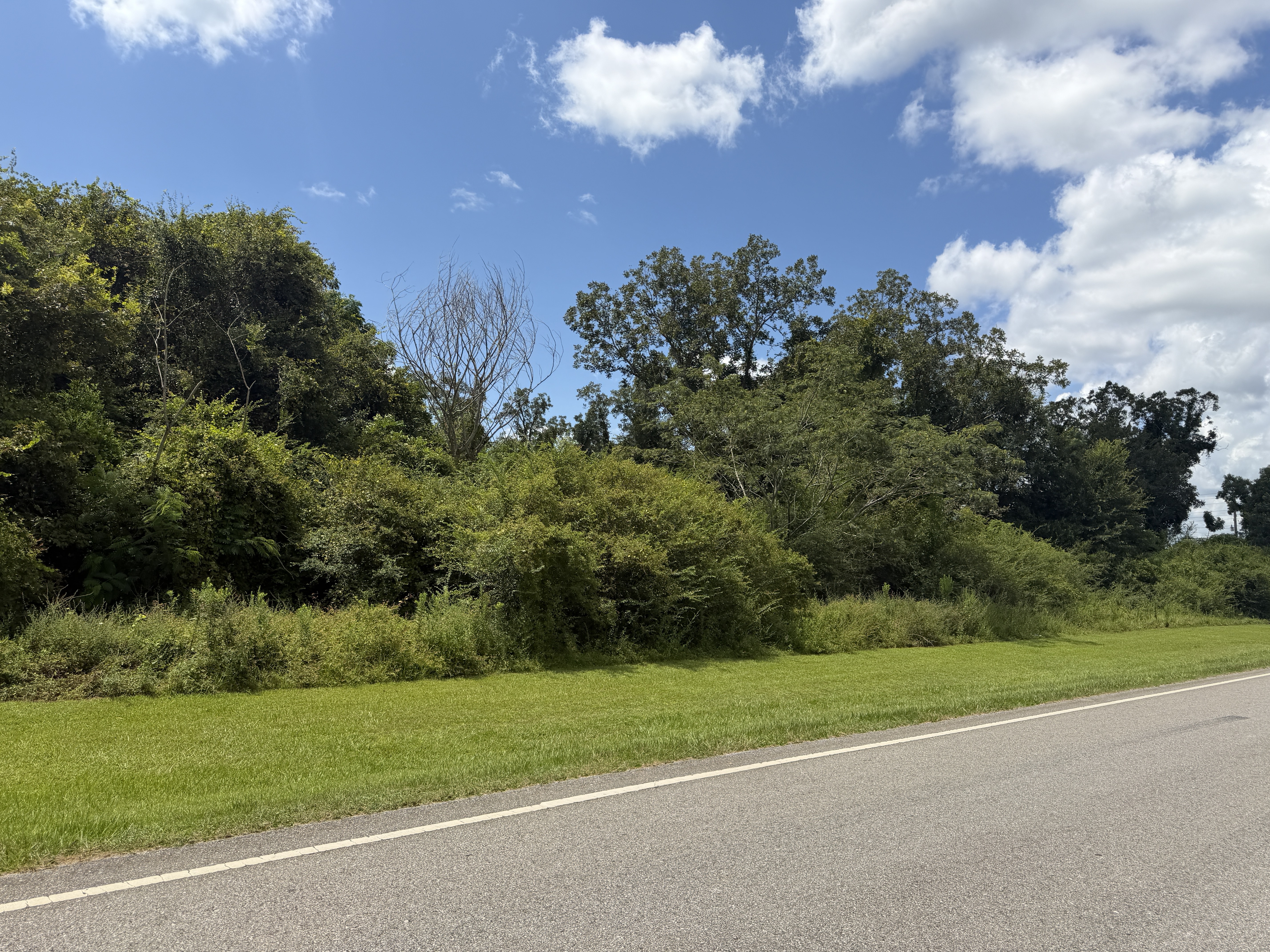 Lot 3 Highway 99
