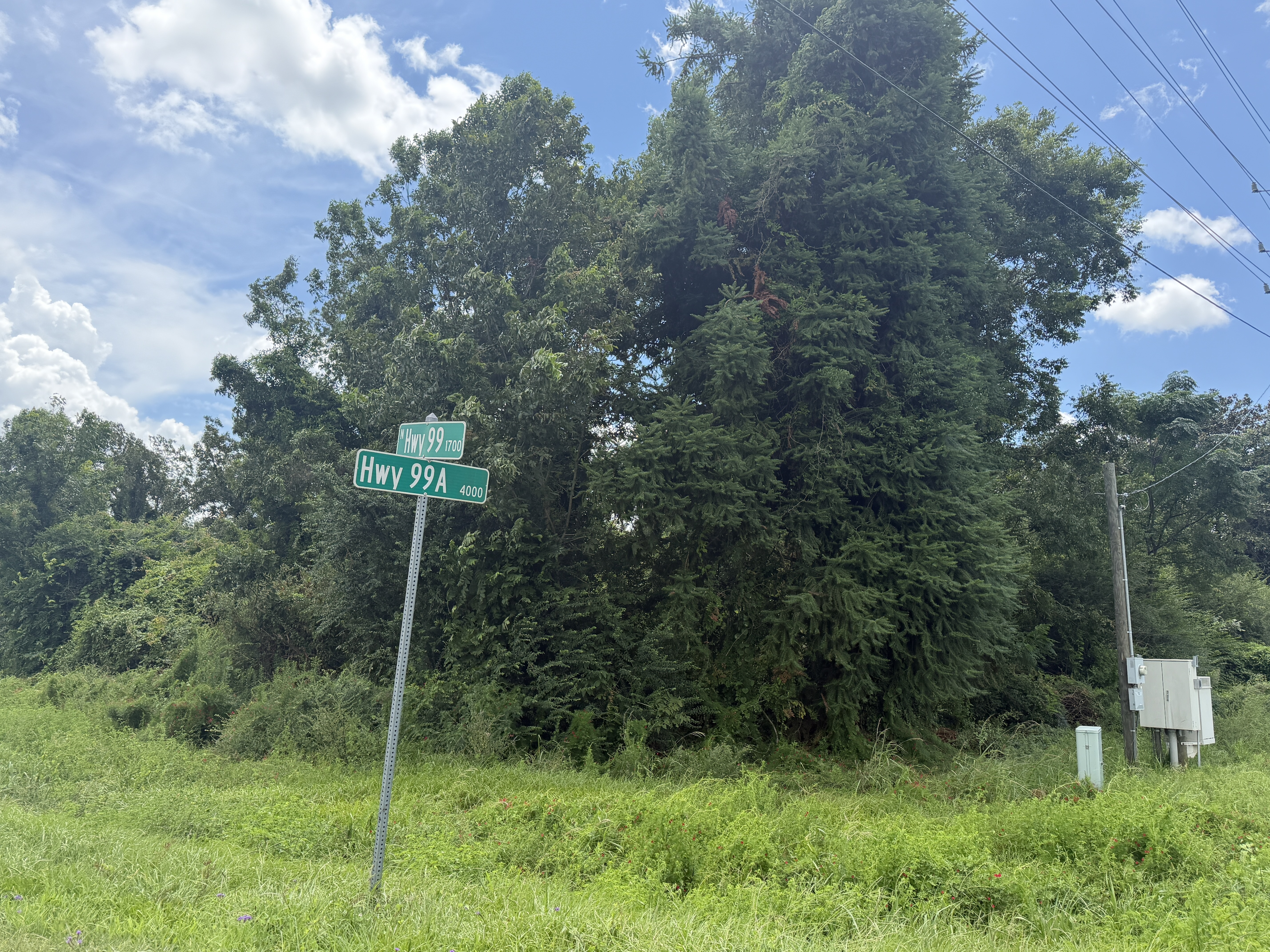Lot 3 Highway 99