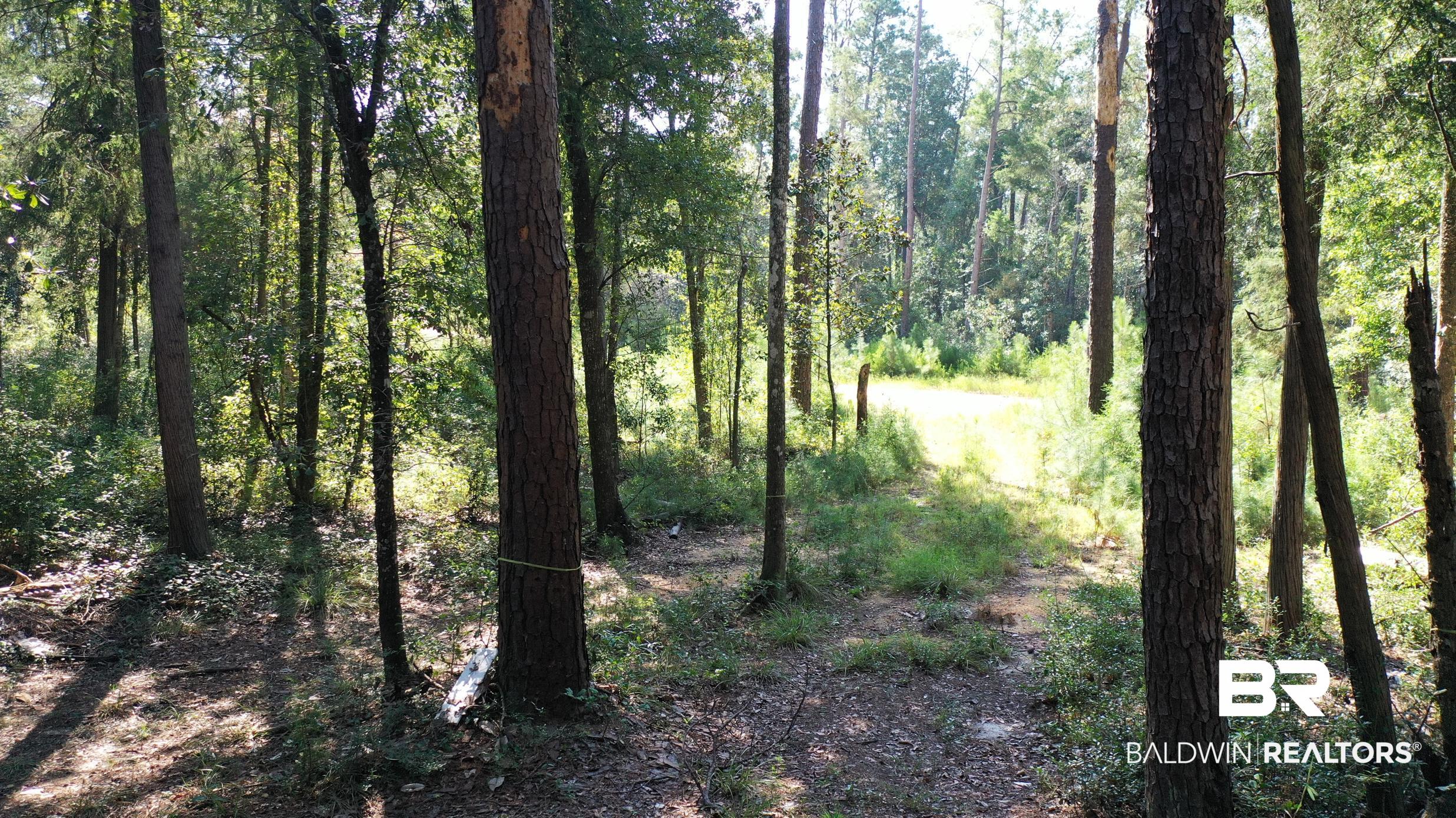Lot 23 Creek Adventures Lane