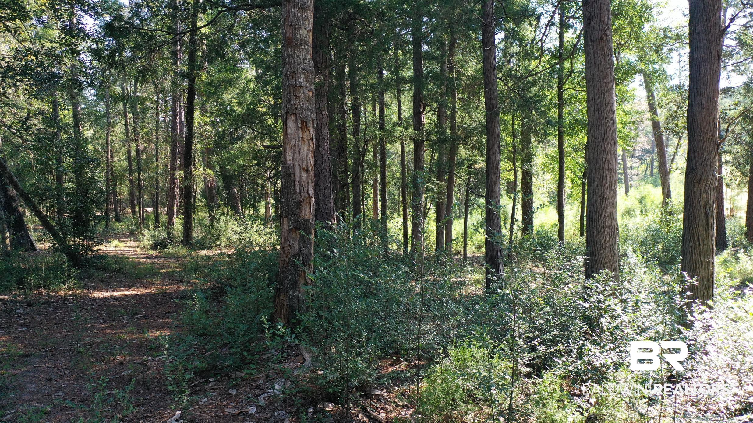 Lot 23 Creek Adventures Lane