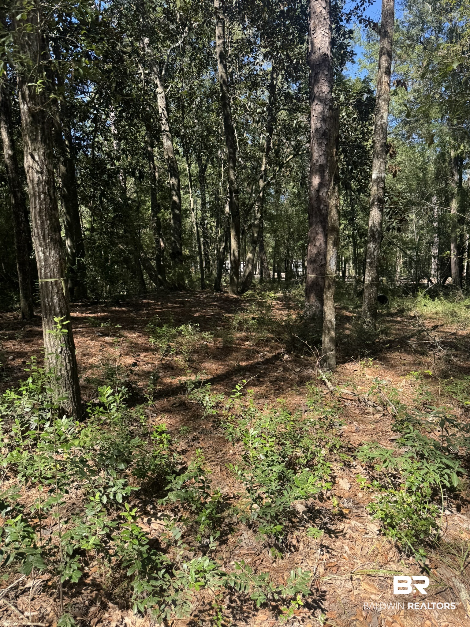 Lot 23 Creek Adventures Lane