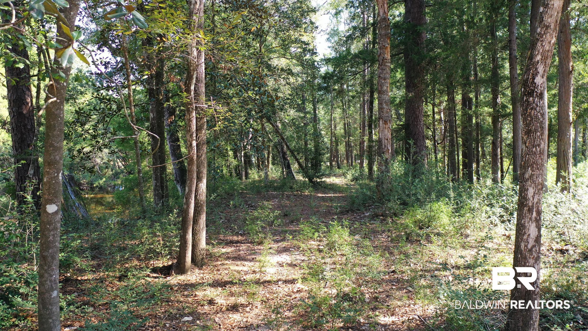 Lot 23 Creek Adventures Lane