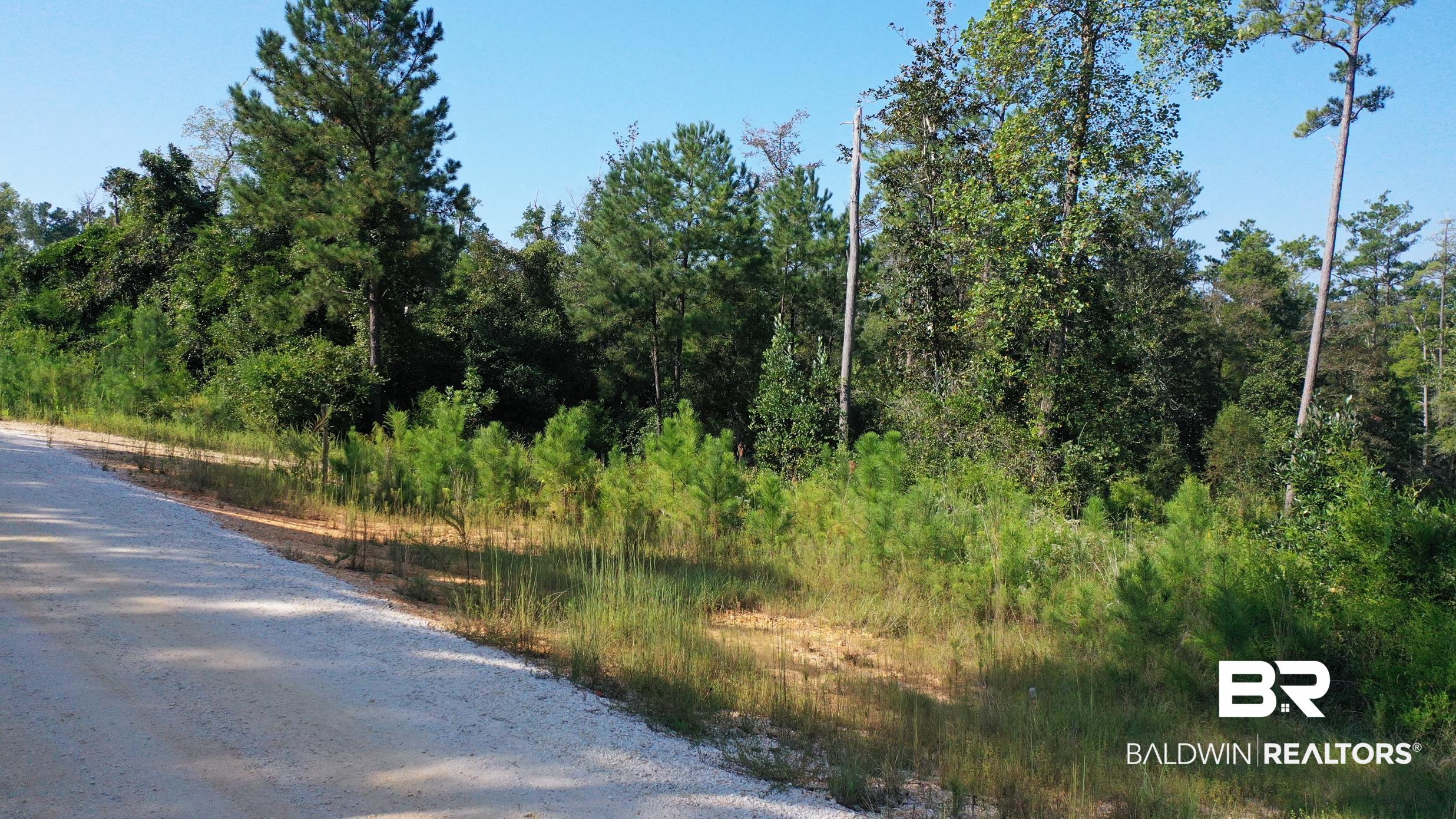 Lot 23 Creek Adventures Lane