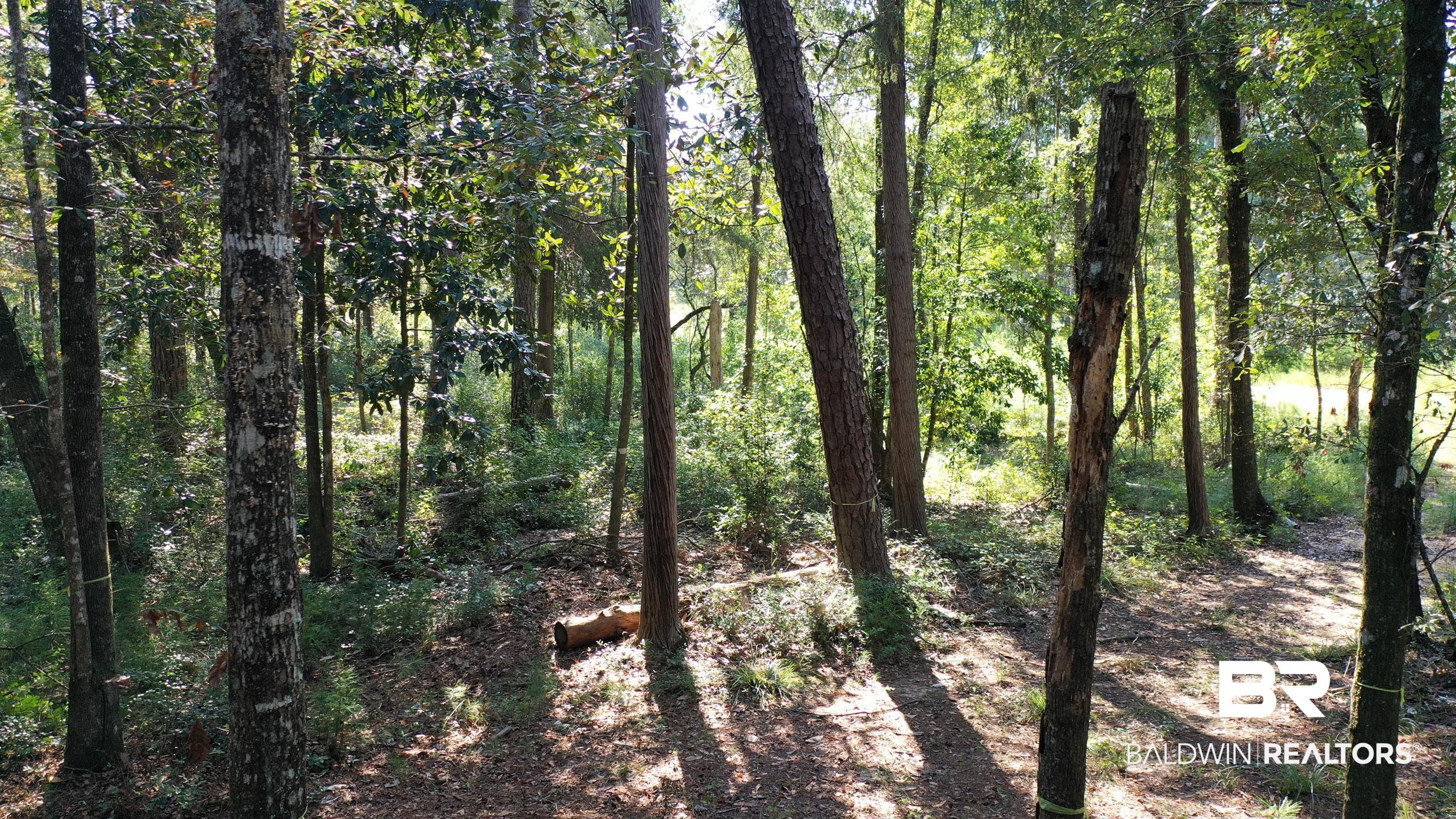 Lot 23 Creek Adventures Lane