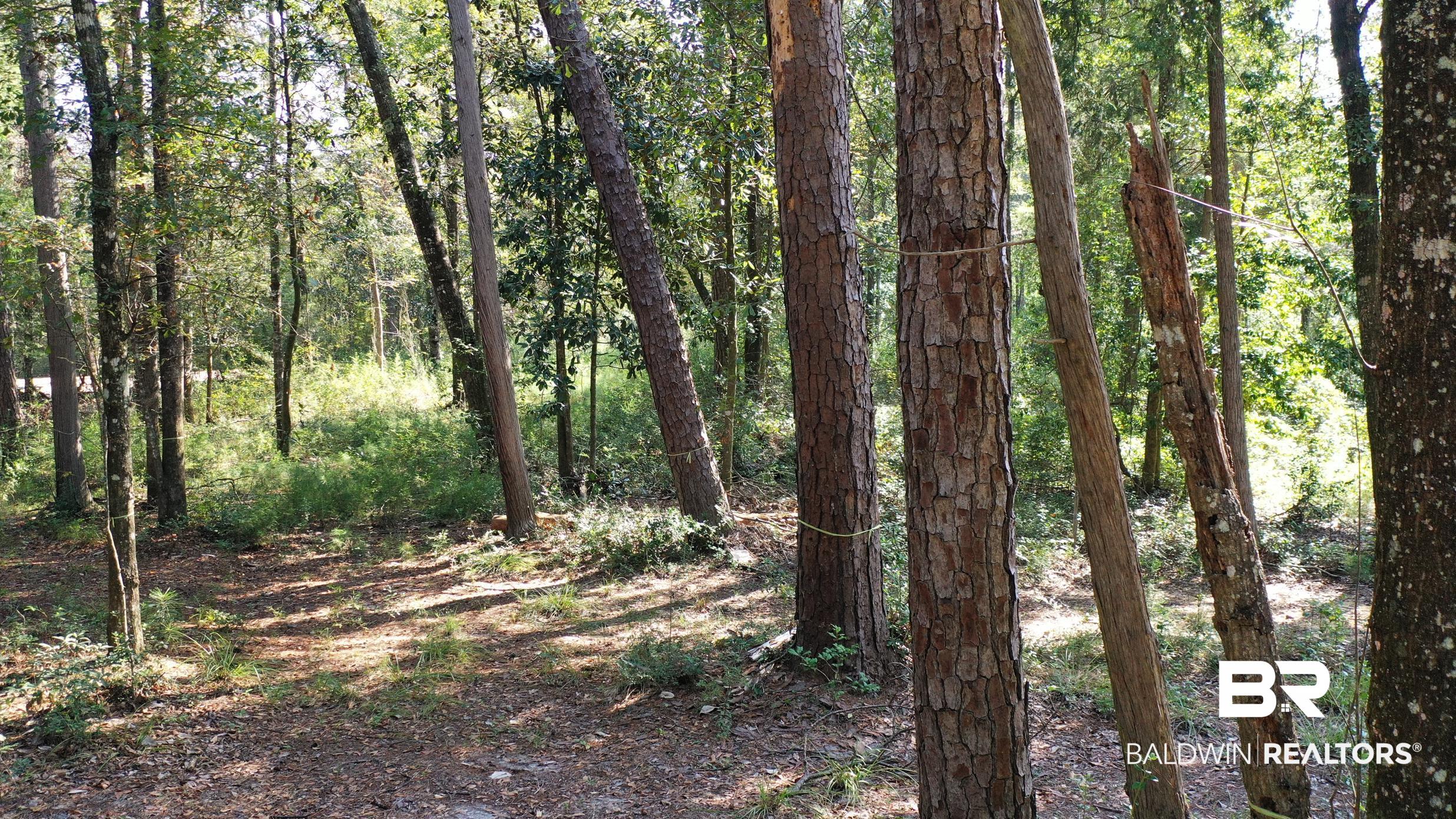 Lot 23 Creek Adventures Lane