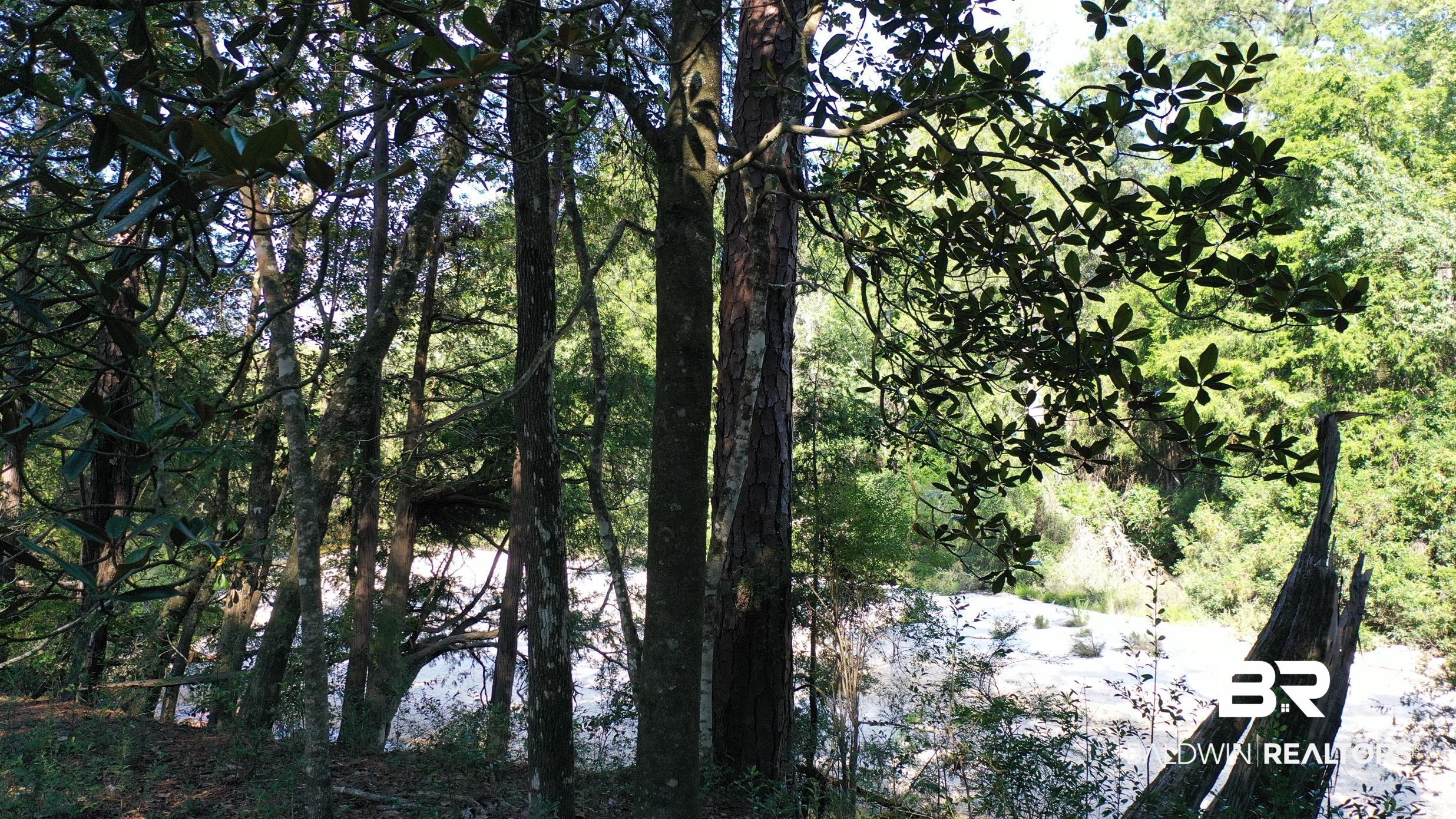 Lot 23 Creek Adventures Lane