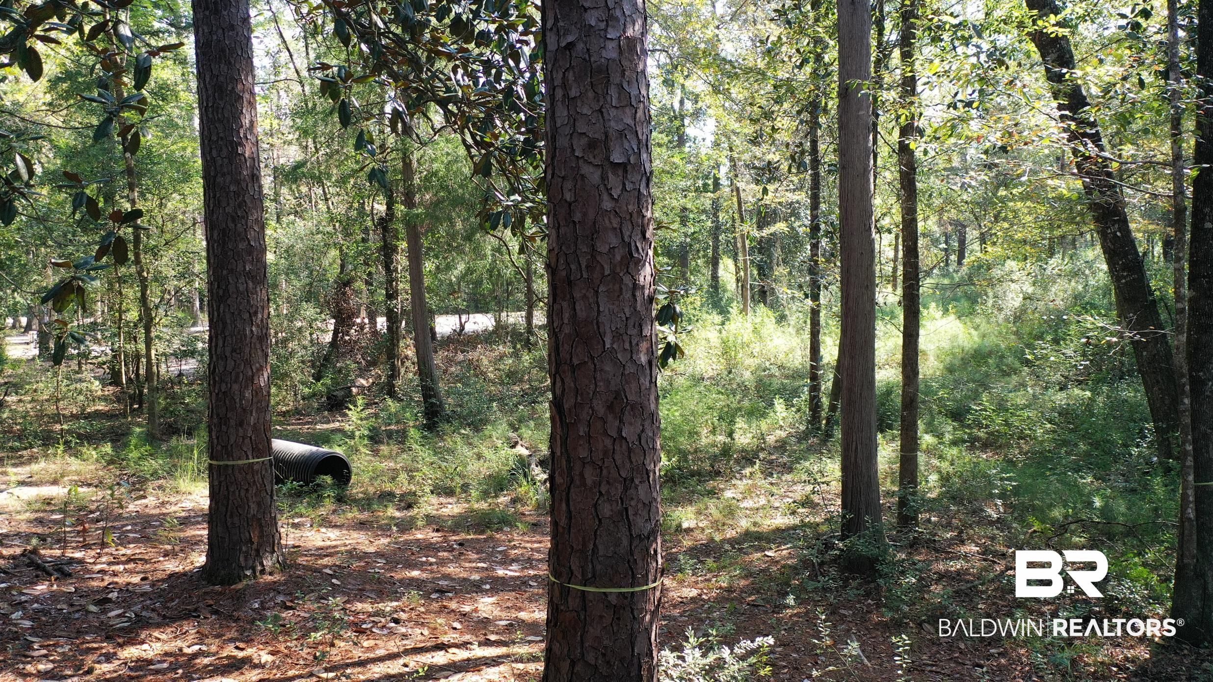 Lot 23 Creek Adventures Lane