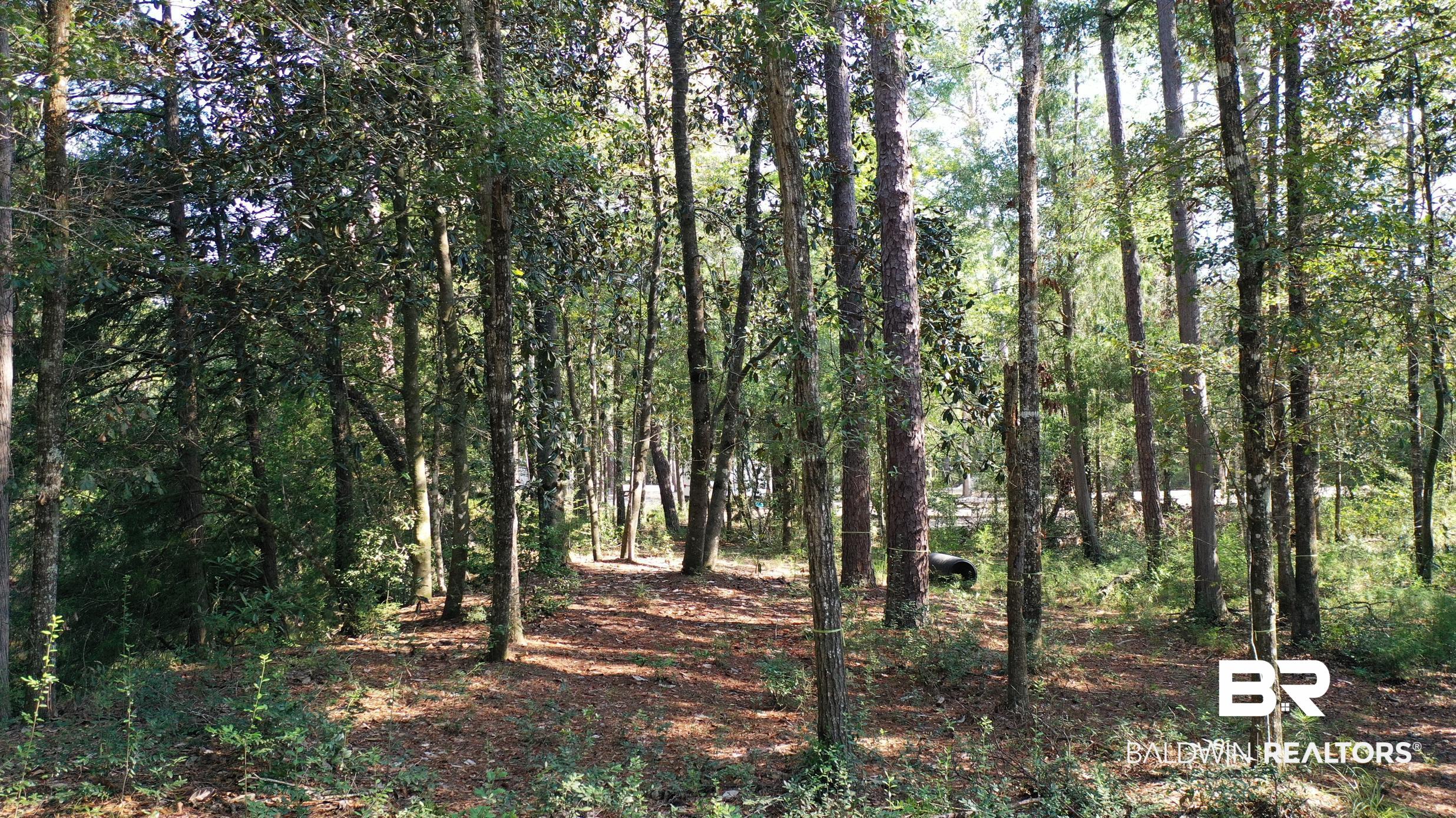 Lot 23 Creek Adventures Lane