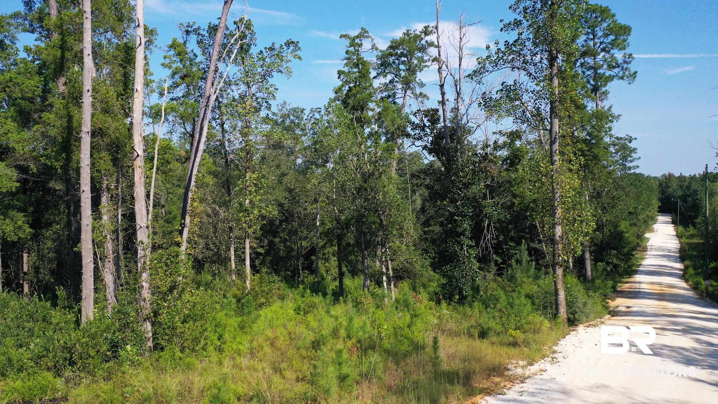 Lot 23 Creek Adventures Lane