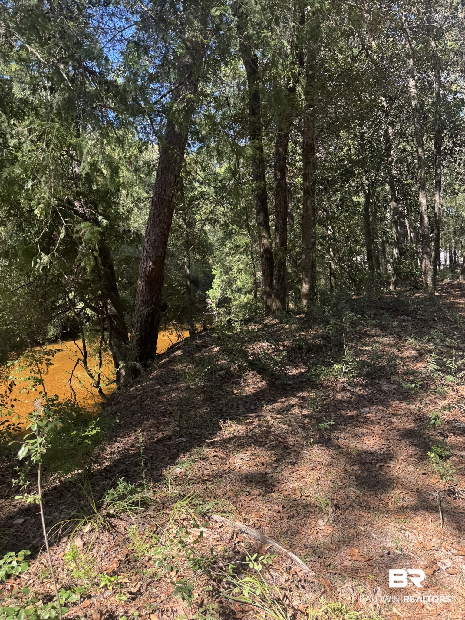 Lot 23 Creek Adventures Lane