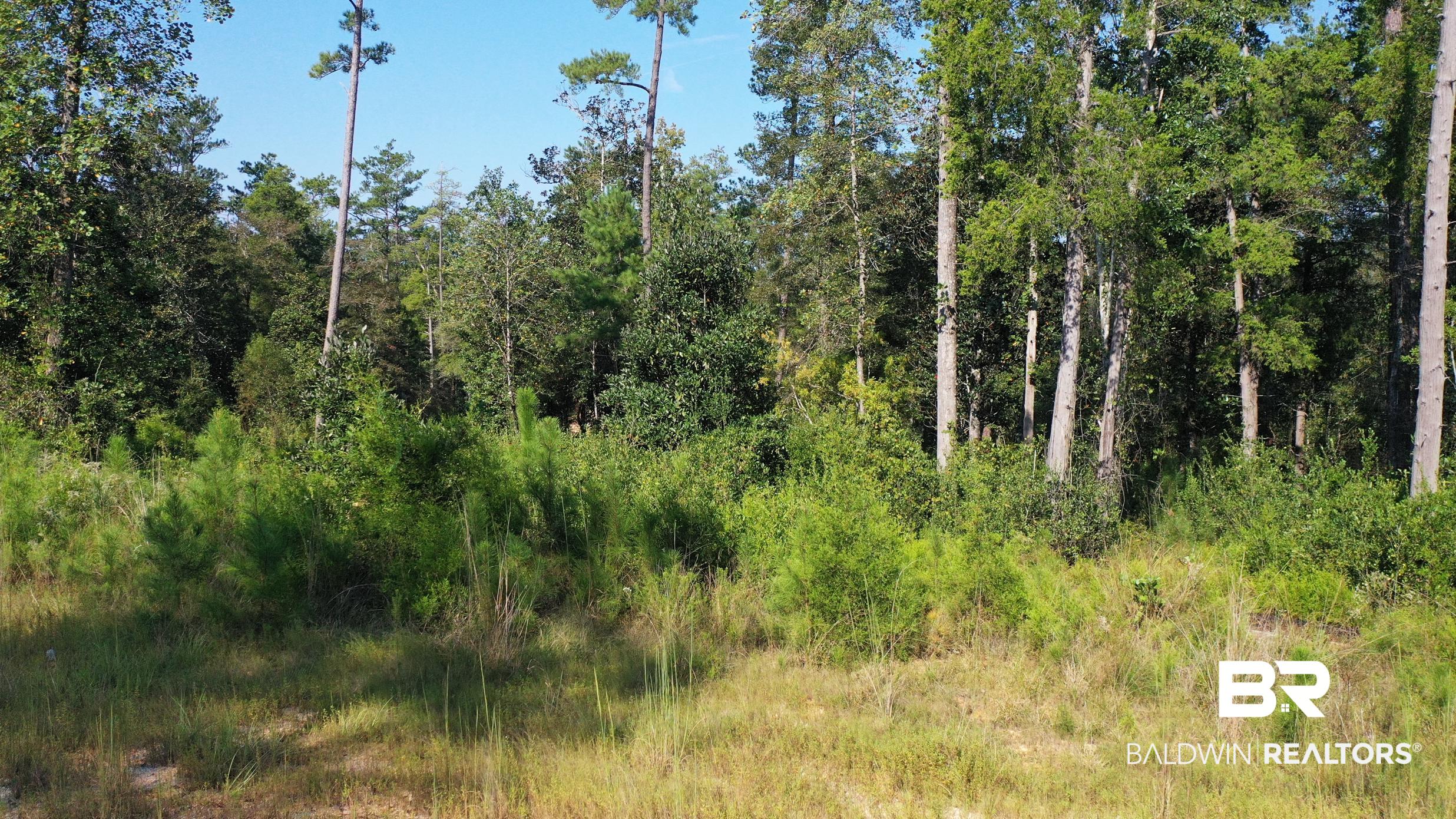 Lot 23 Creek Adventures Lane