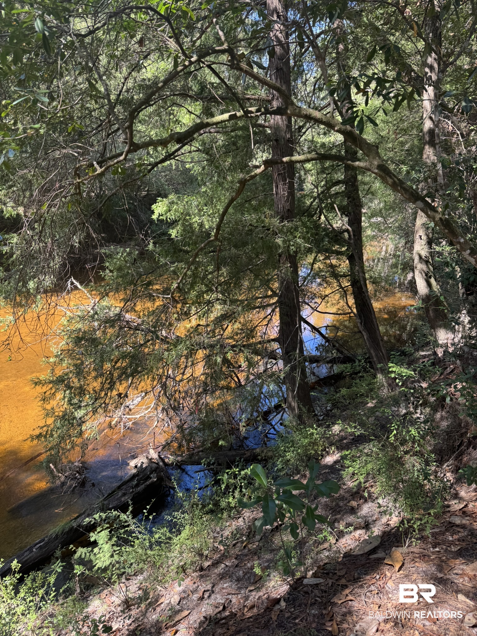 Lot 23 Creek Adventures Lane