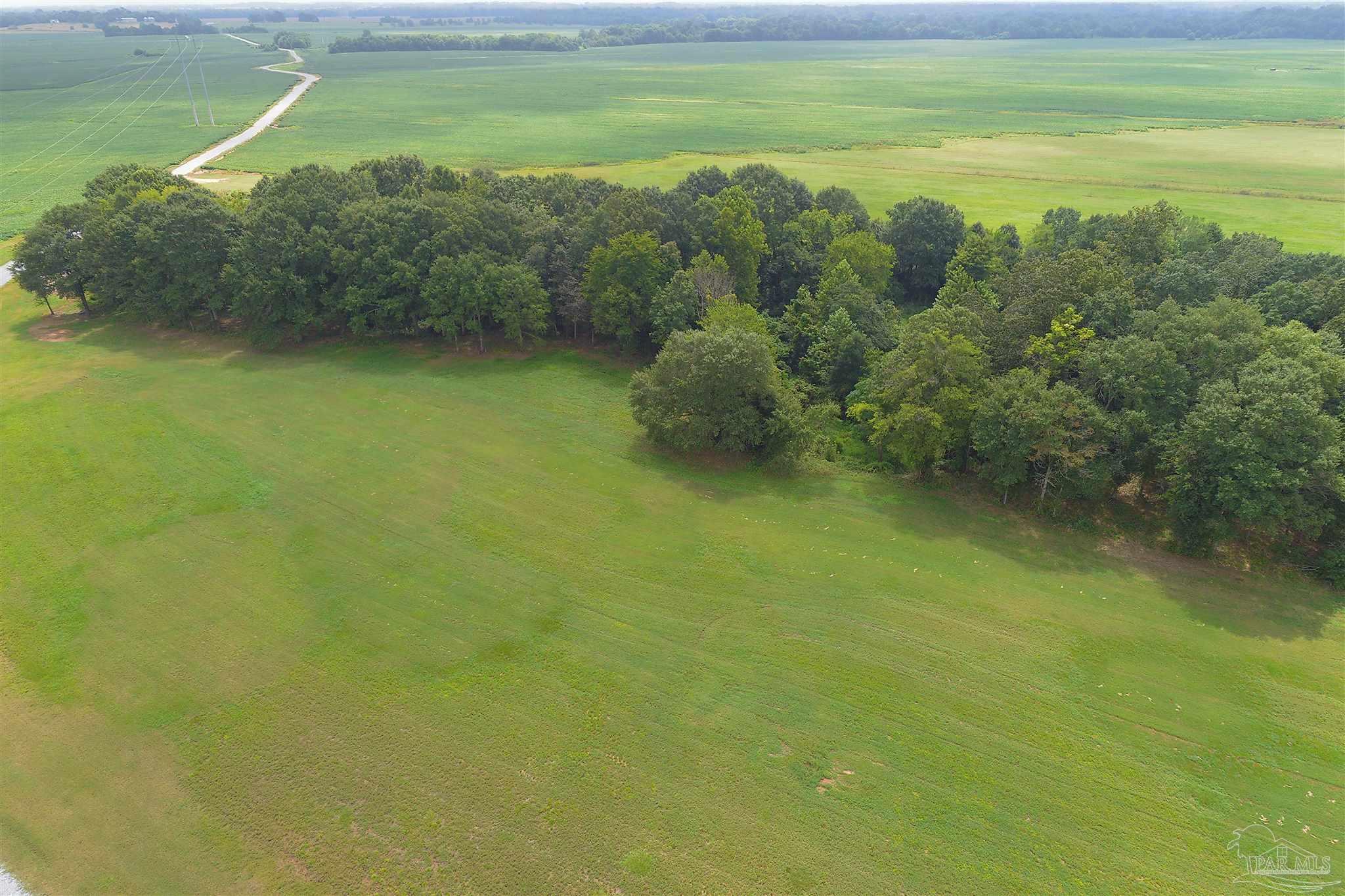 1439 Judge Greene Pl Lot 24