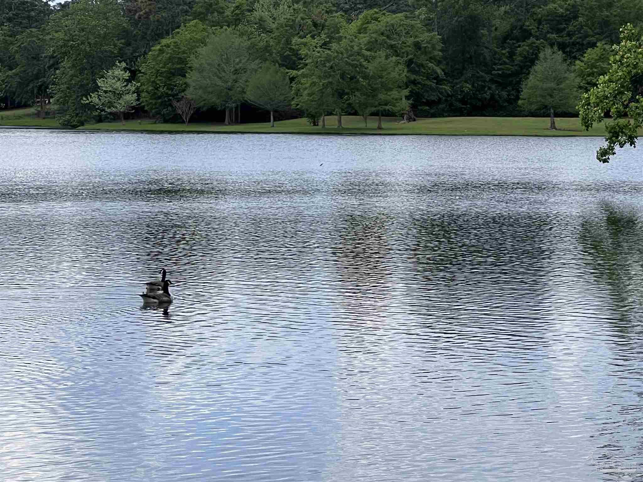 5100 Wiggins Lake Rd Lot C