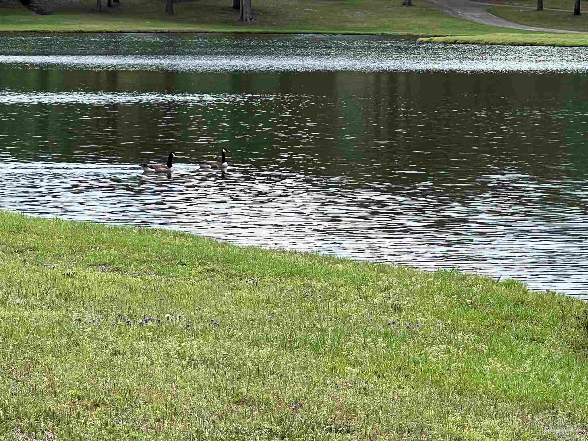 5100 Wiggins Lake Rd Lot C