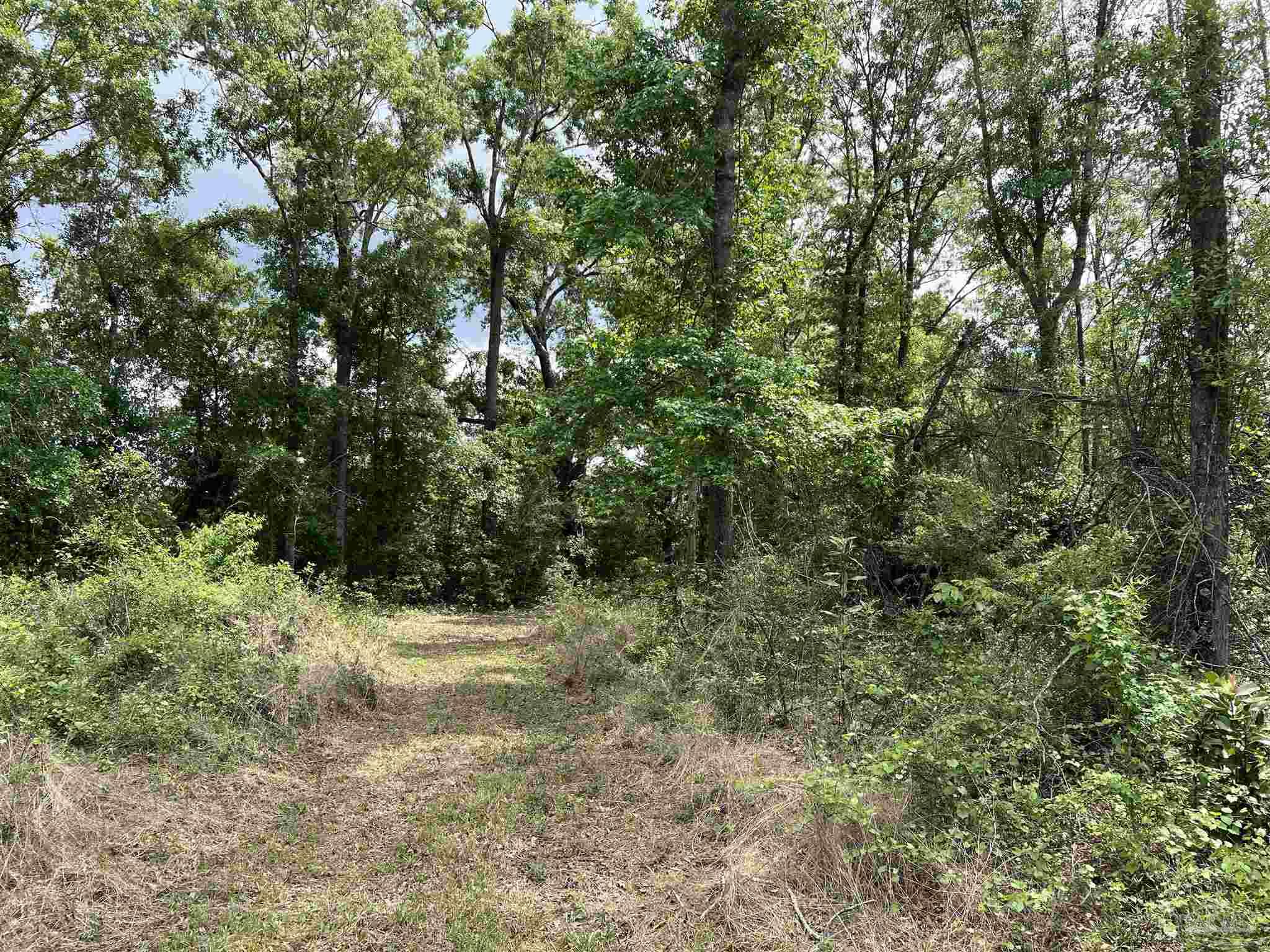 5100 Wiggins Lake Rd Lot C