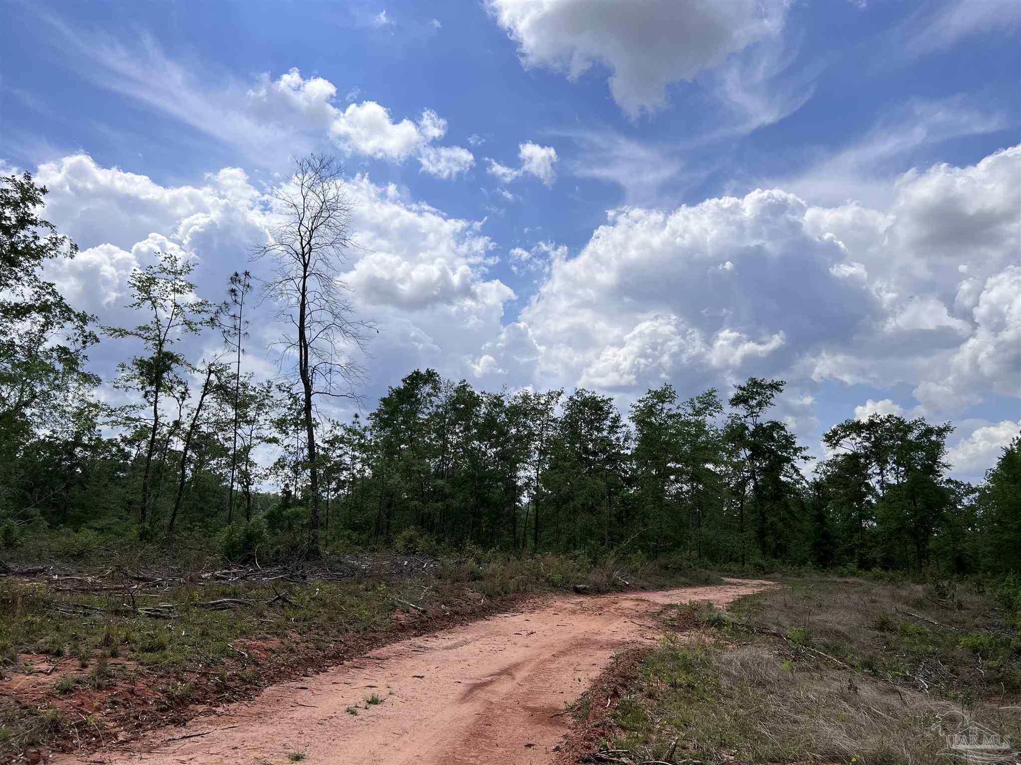 5100 Wiggins Lake Rd Lot C