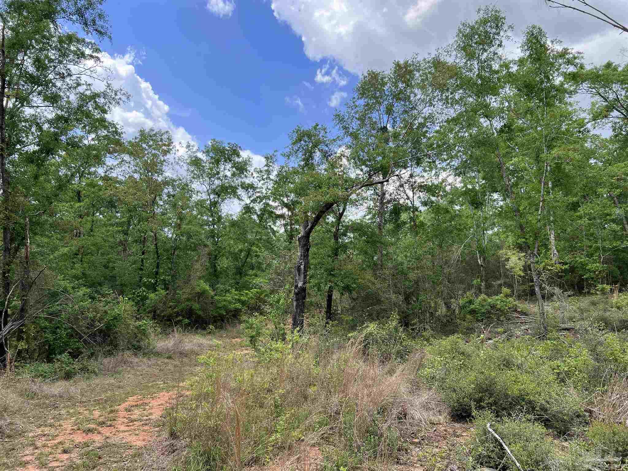 5100 Wiggins Lake Rd Lot C