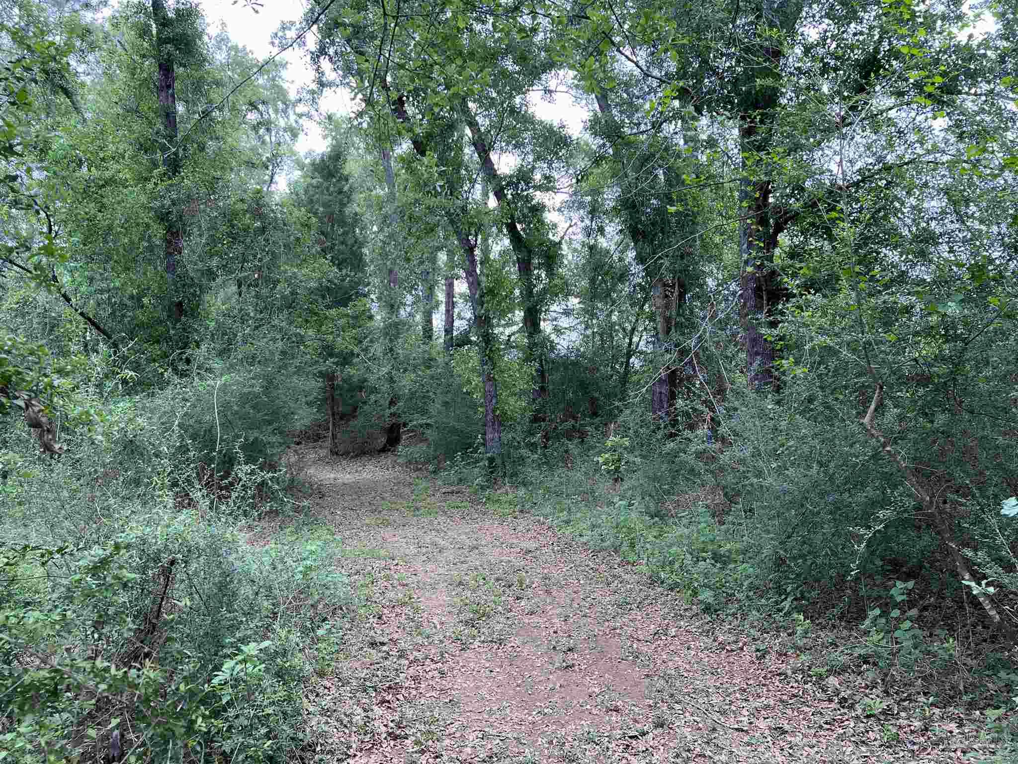 5100 Wiggins Lake Rd Lot C
