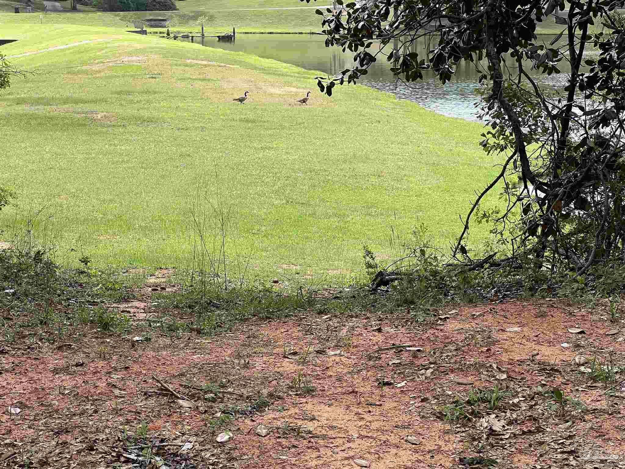5100 Wiggins Lake Rd Lot C