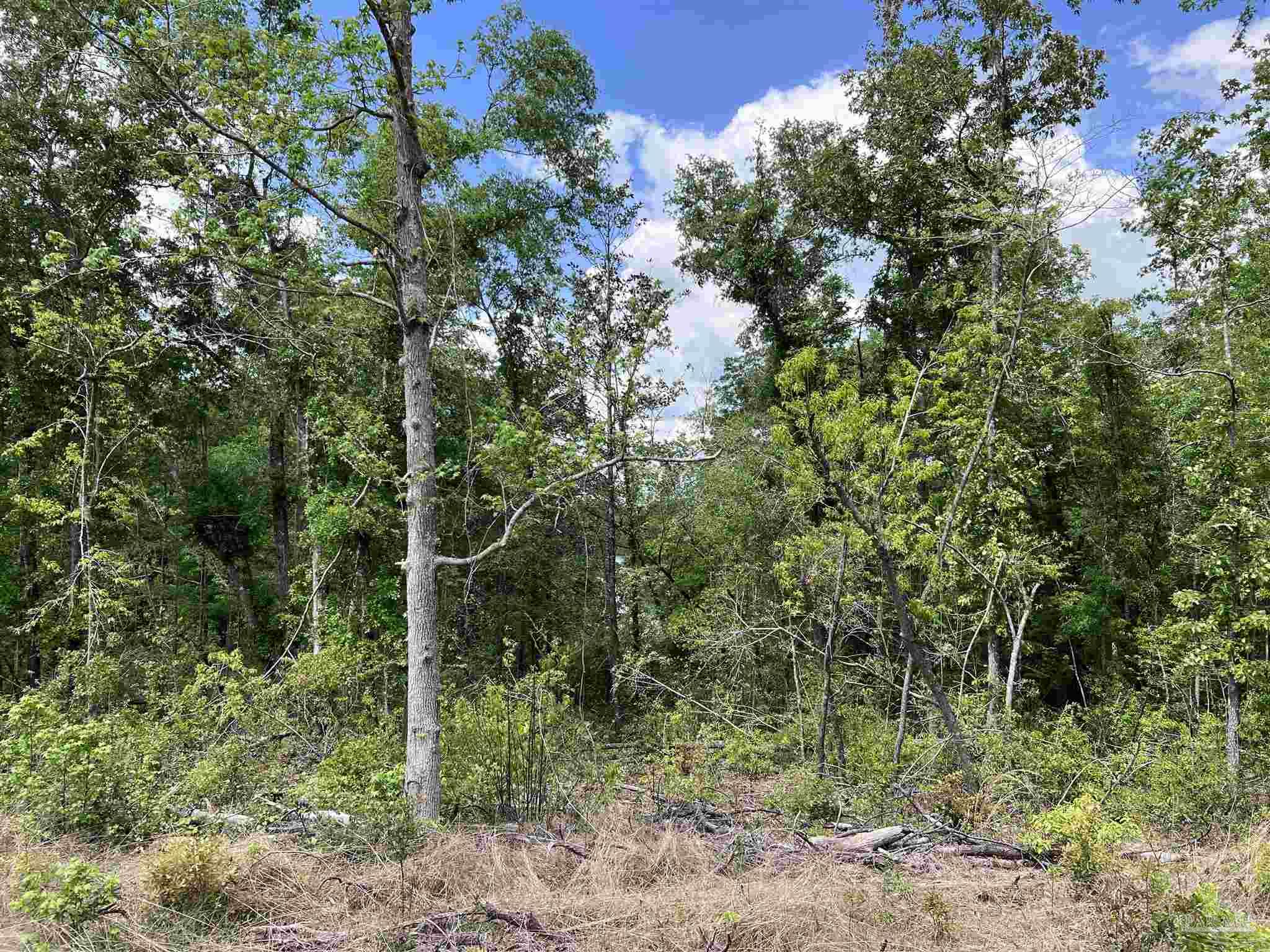 5100 Wiggins Lake Rd Lot C