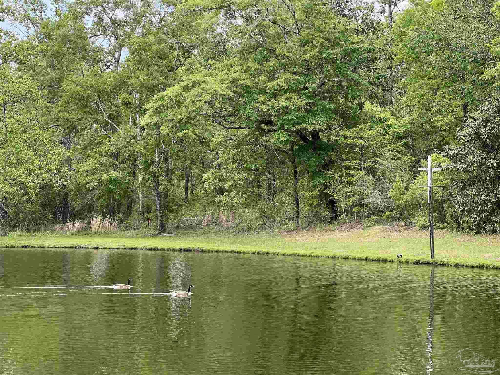 5100 Wiggins Lake Rd Lot C