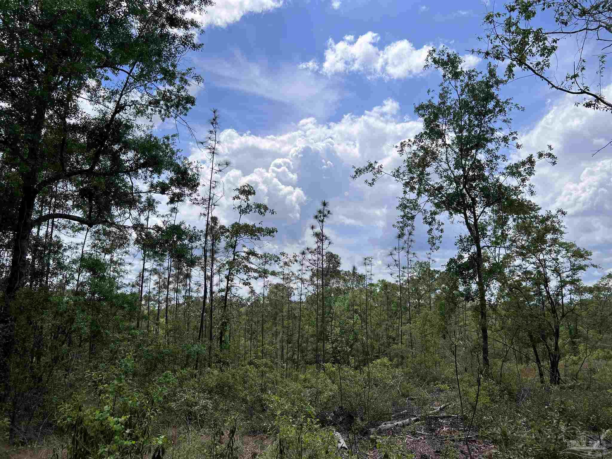 5100 Wiggins Lake Rd Lot C