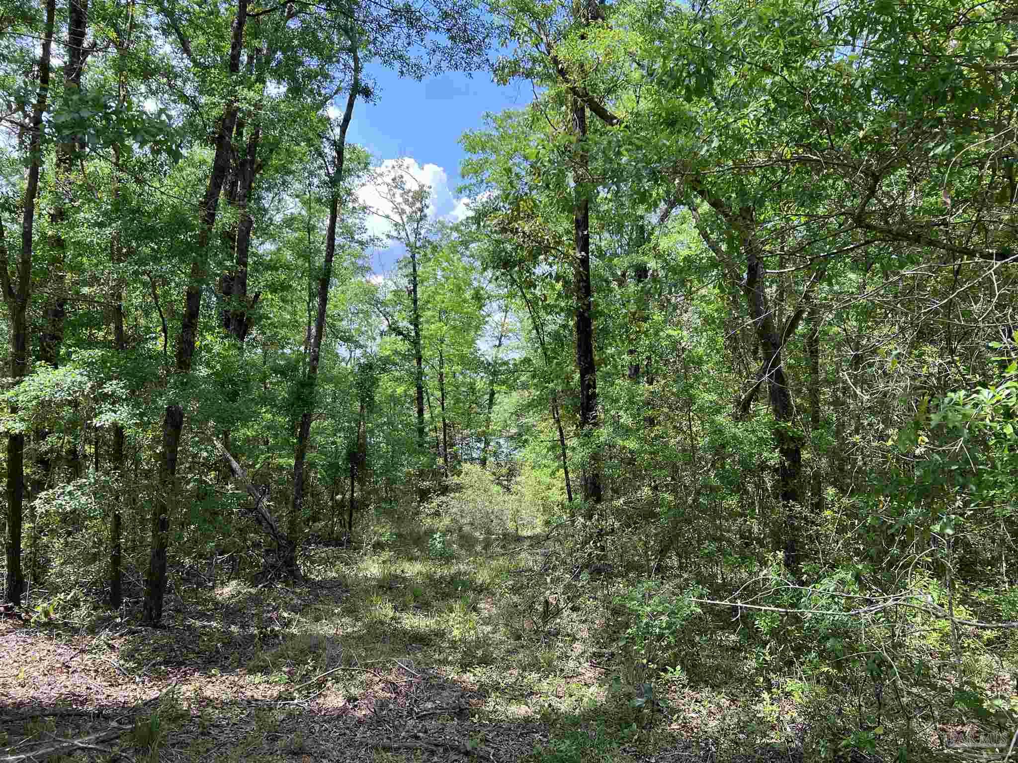 5100 Wiggins Lake Rd Lot C