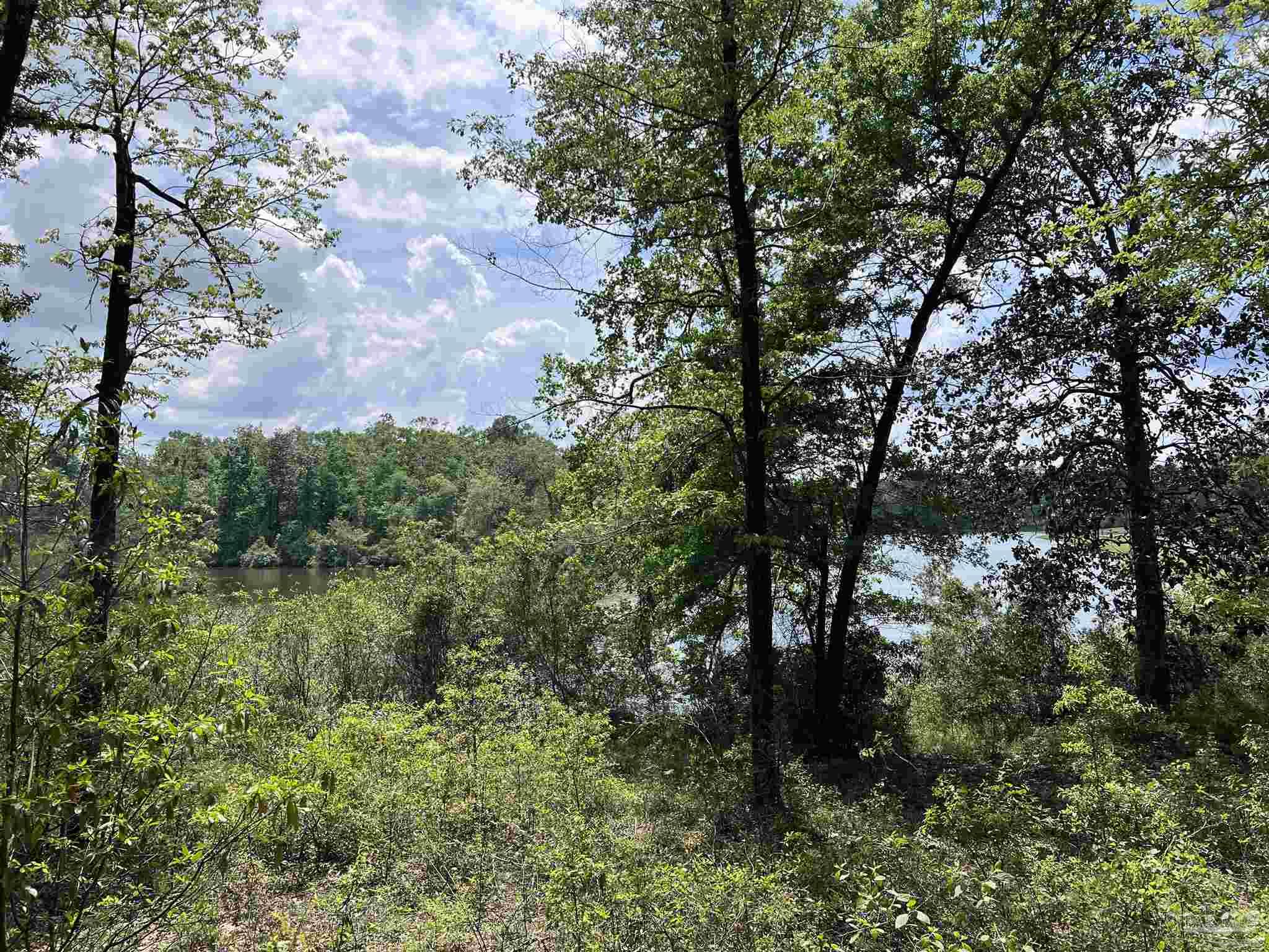 5100 Wiggins Lake Rd Lot C